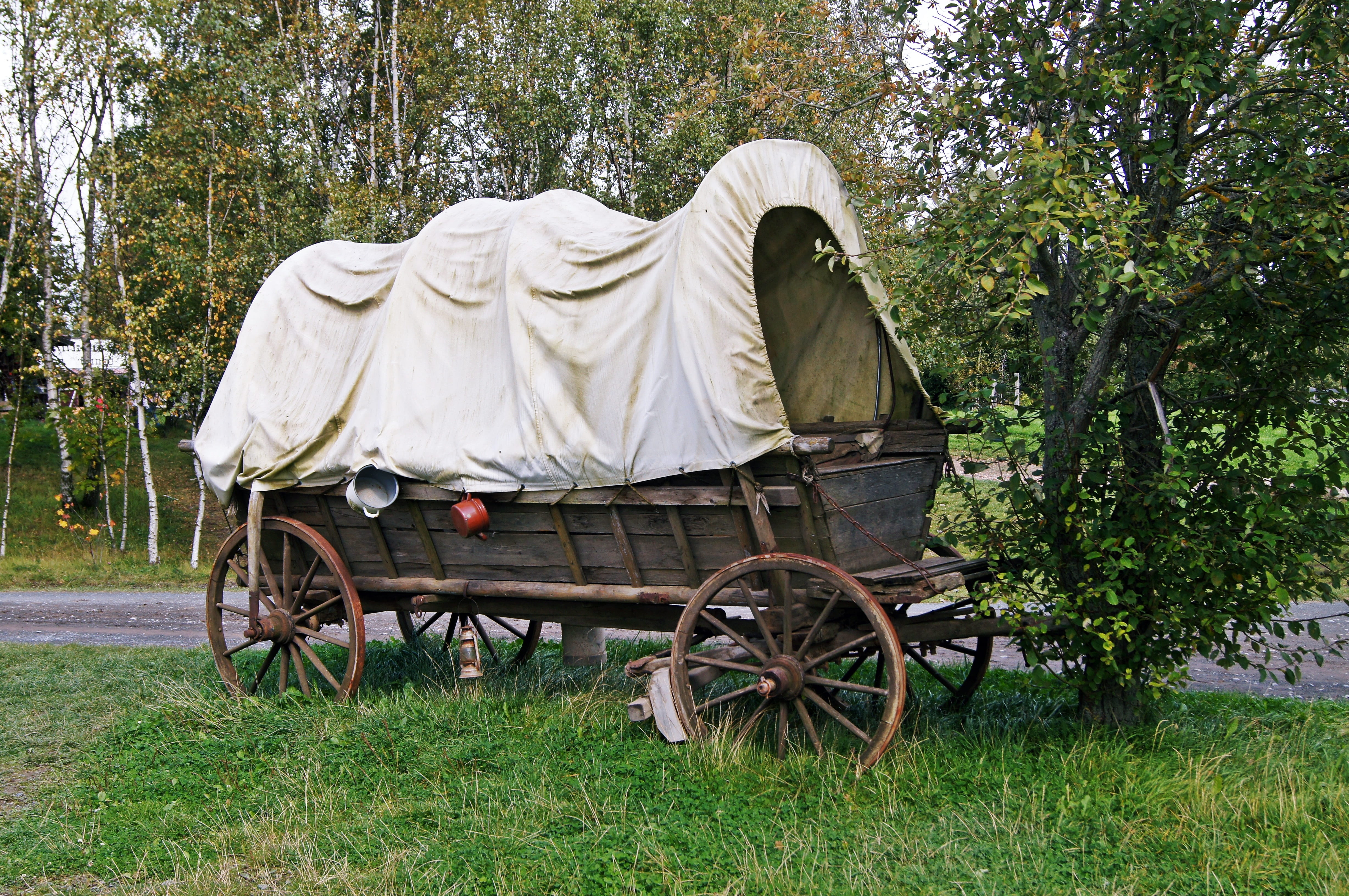 wheel, stationary, mode of transportation, western, field, dare, covered wagon, cart, no people, day, outdoors, white color, tree, plane, nature, grass, HD Wallpaper