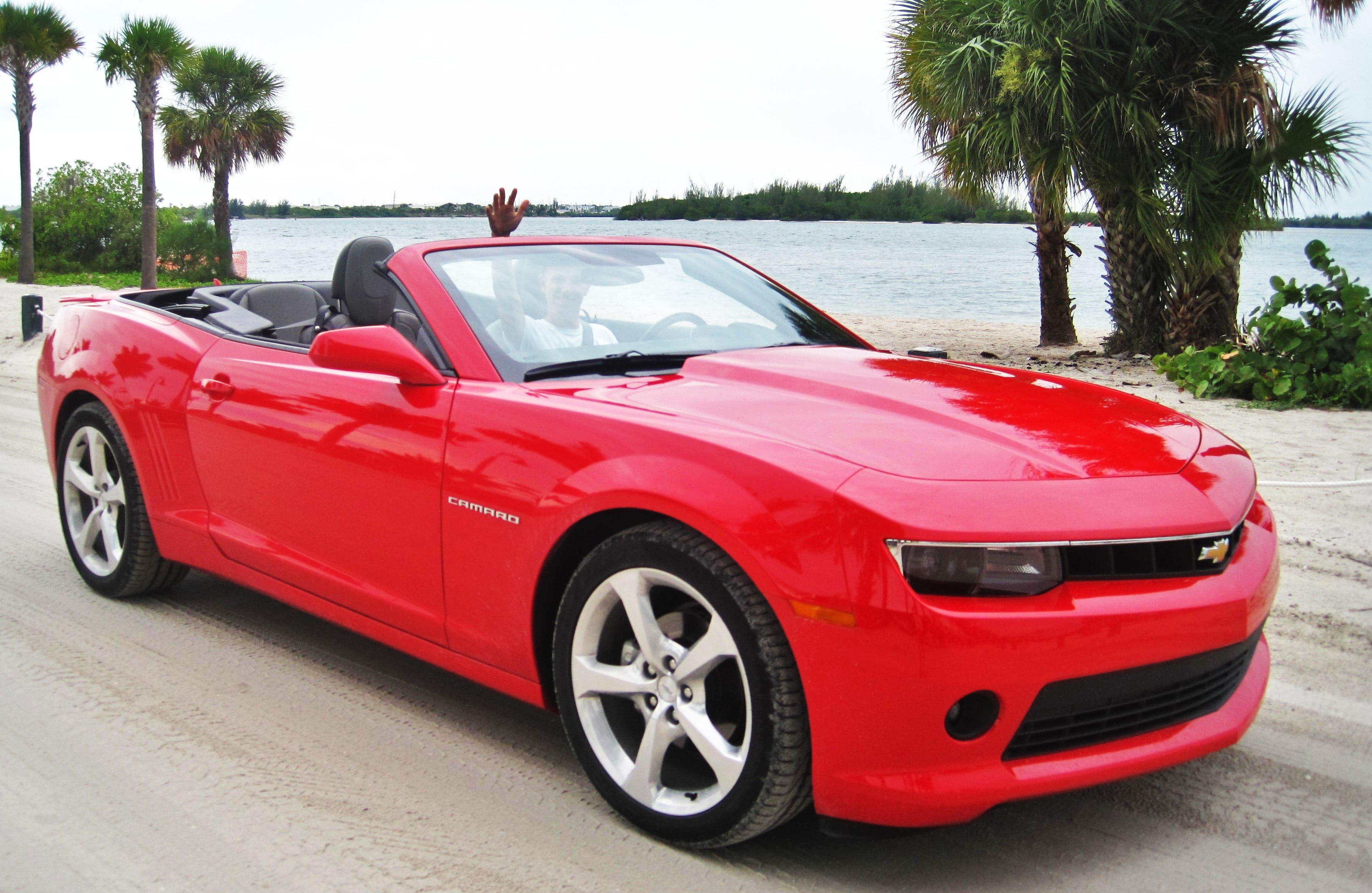nature, transportation, cabriolet, road, retro styled, water, motor vehicle, day, land vehicle, camaro, attitude to life, palm tree, plant, one person, HD Wallpaper