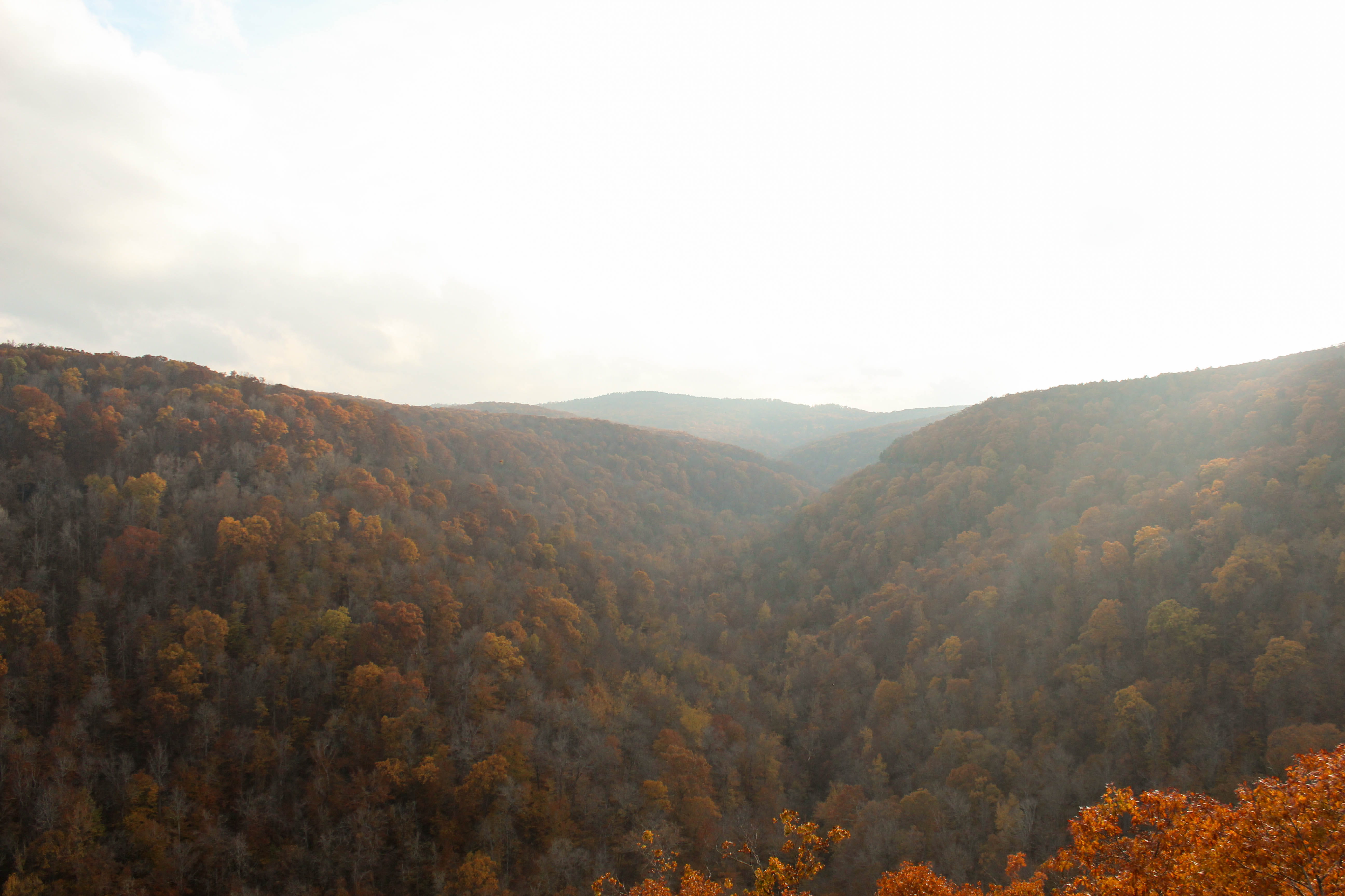 united states, sky, nature, forest, idyllic, outdoors, land, tranquil scene, change, layers, autumn, mountain, kingston, landscape, scenics - nature, orange, HD Wallpaper