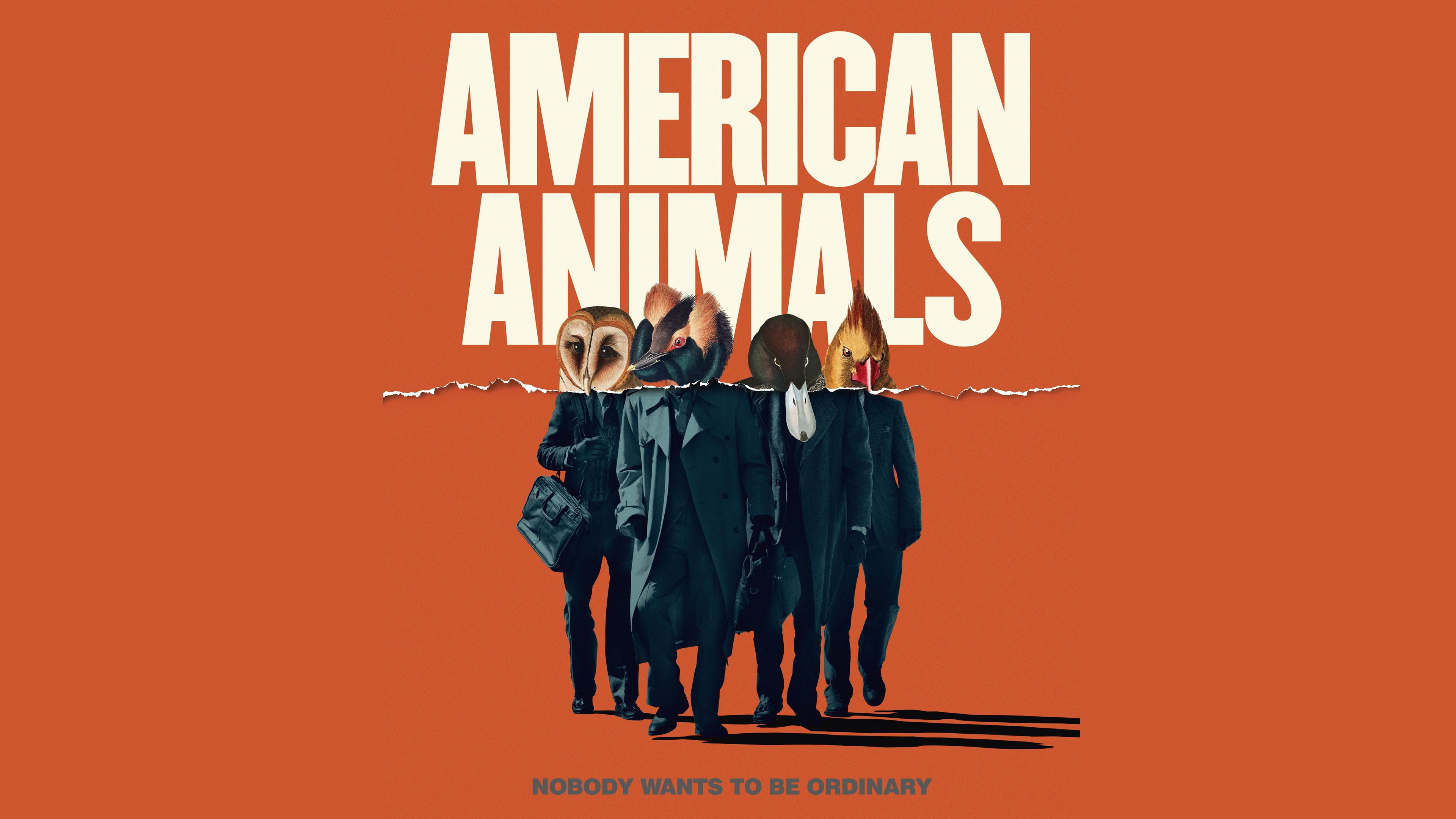 Barry Keoghan, American Animals, Evan Peters, Ann Dowd, 4K, 4K, HD Wallpaper