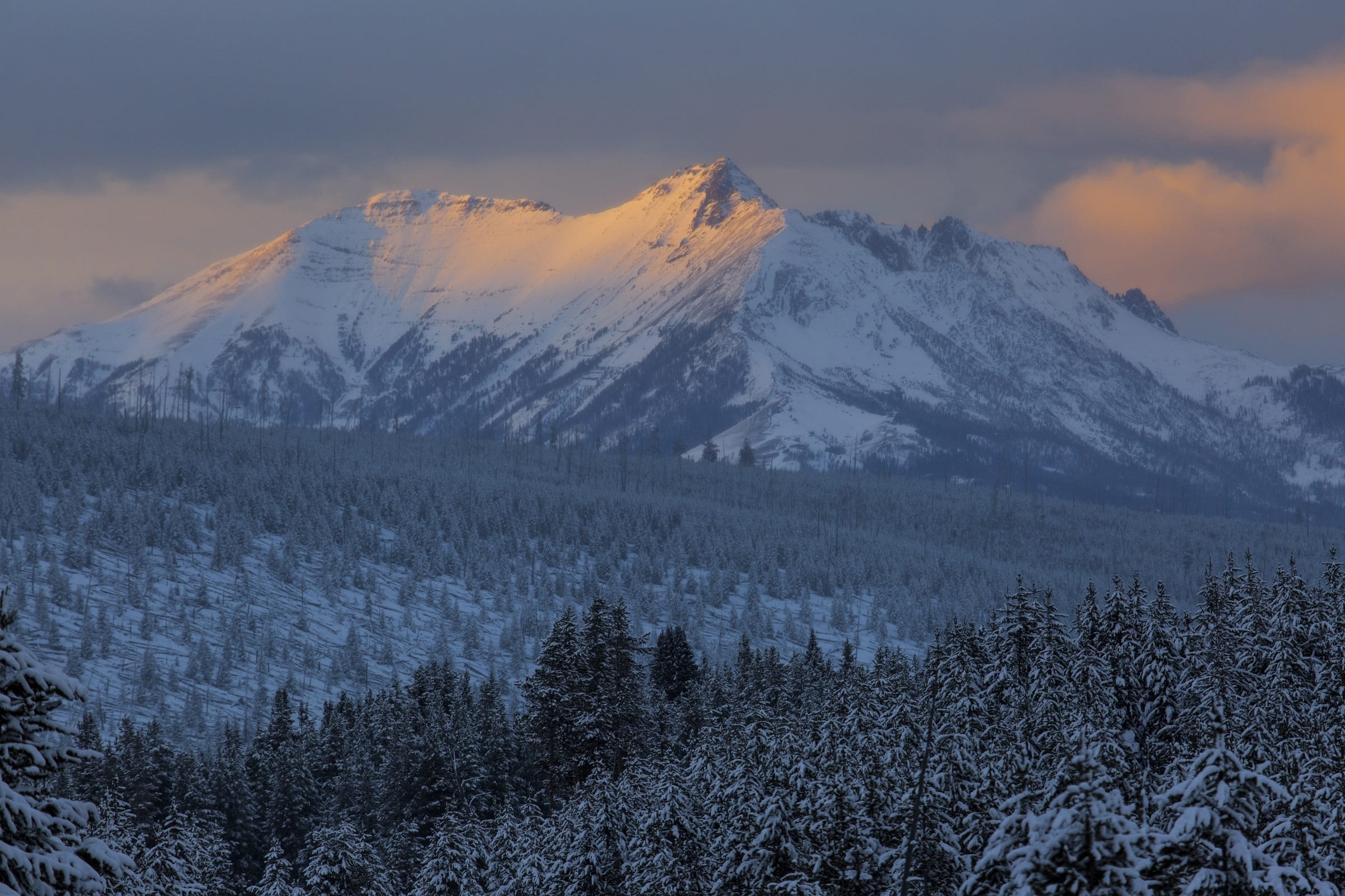mist, cold temperature, cloud - sky, dawn, snow, evening, scenics - nature, sunrise, sunset, trees, mountain range, scenic, daylight, alpine, tranquil scene, HD Wallpaper