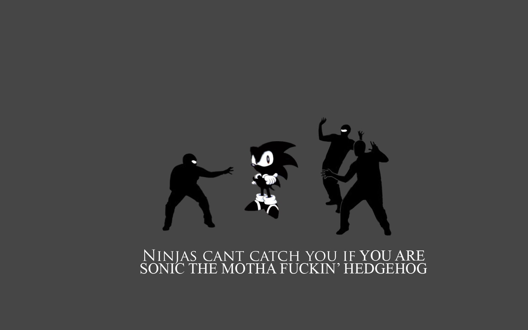 ninjas, hedgehog, art, cant, sonic, sonic the hedgehog, hd, catch, ninjas cant catch you if, 720P, x, video, games, HD Wallpaper
