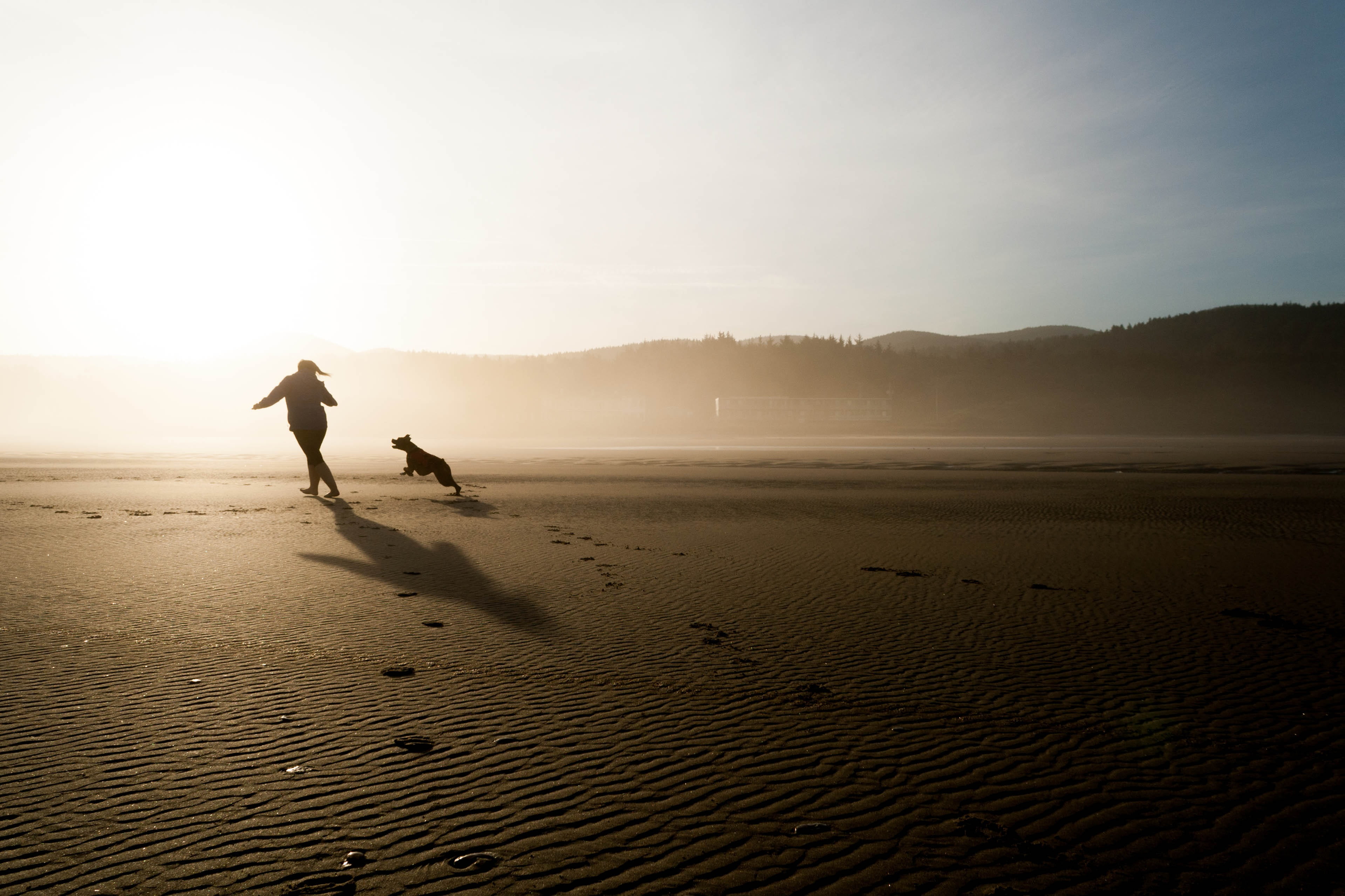 people, field, relationship, beach, happy, chase, mans best friend, nature, pet, women, adult, sand, two people, sky, lifestyles, water, silhouette, friendship, HD Wallpaper