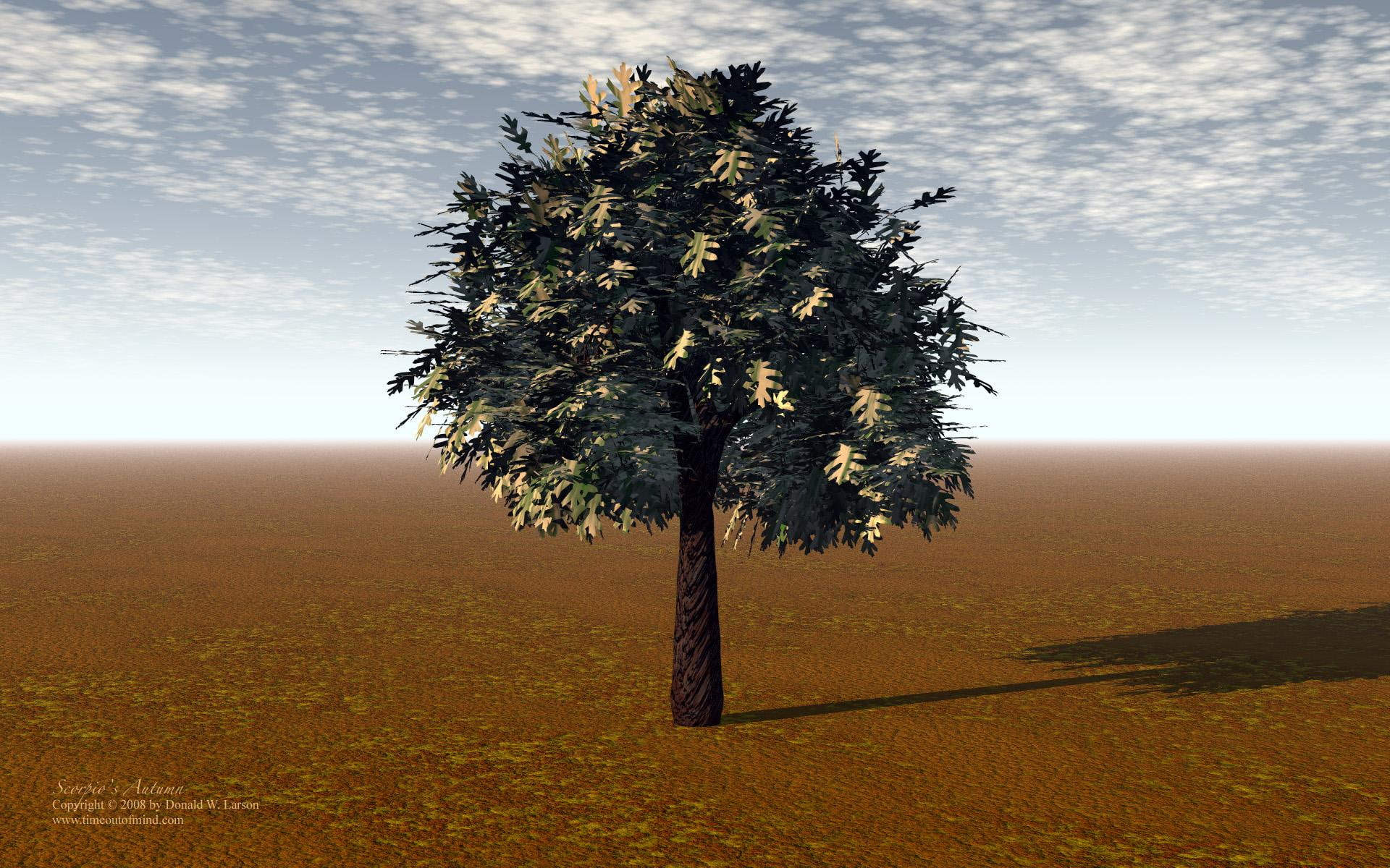 adopt, 1080P, field, landscape, nature and landscapes, tree, green, game, illustration, nature, HD Wallpaper