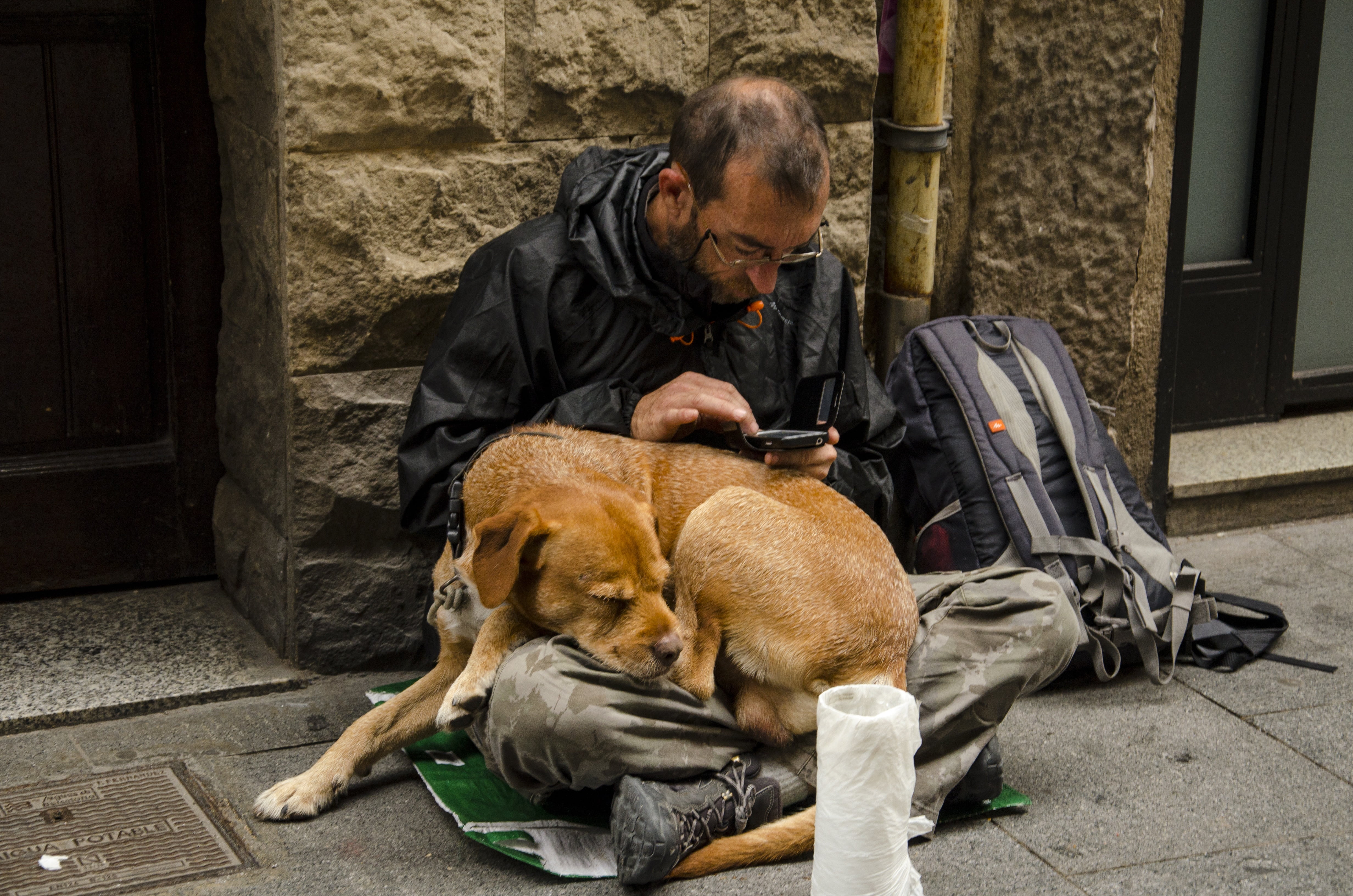 one animal, friend, pets, fur, portrait, stray, people, real people, sadness, street, men, begging - Social Issue, 4K, searching, domestic, senior men, HD Wallpaper