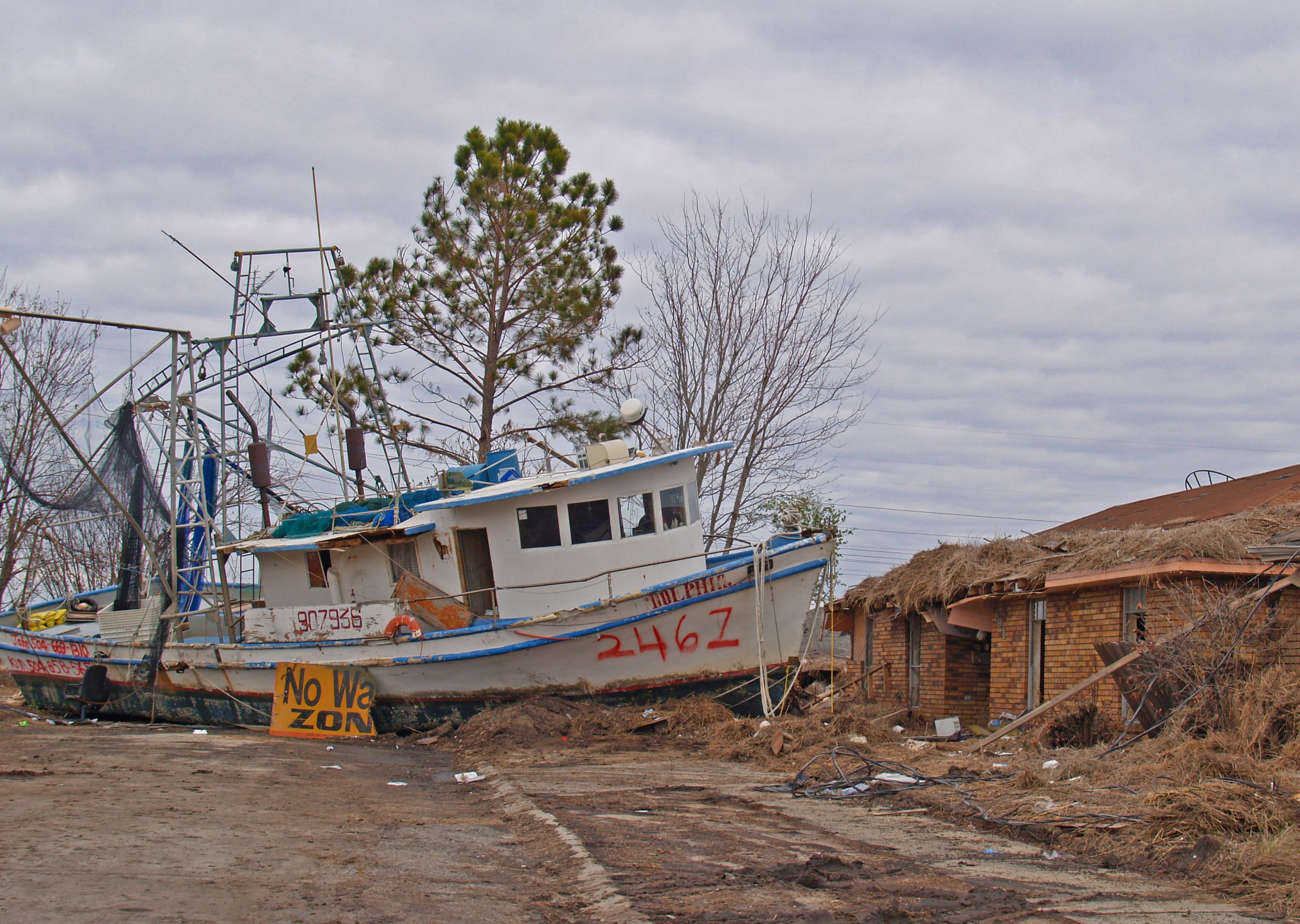 gabe raggio, day, tree, no people, storm, mode of transportation, boat, water, plant, fishing industry, industry, 2K, raggio, tourism, outdoors, bare tree, HD Wallpaper