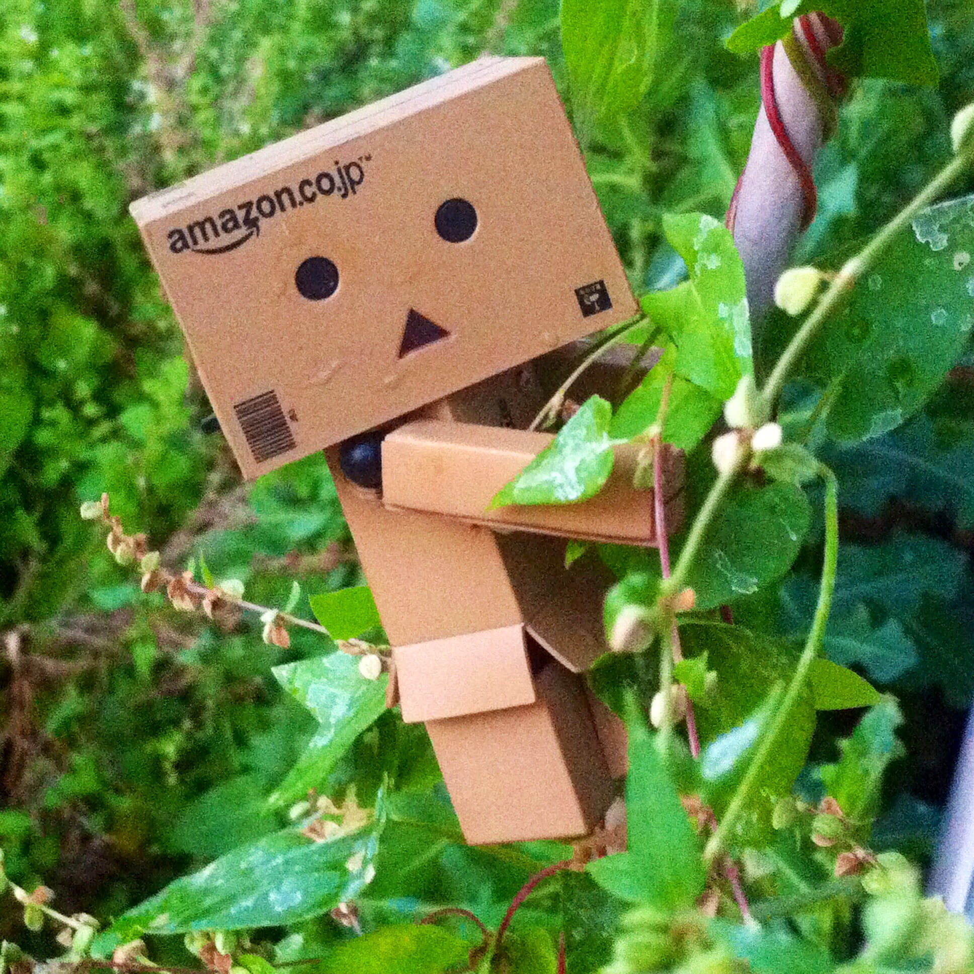 vines, danbo, focus on foreground, art and craft, paper, high angle view, 1080P, craft, caldwell, plant part, toy, nature, growth, selective focus, no people, Phone HD Wallpaper