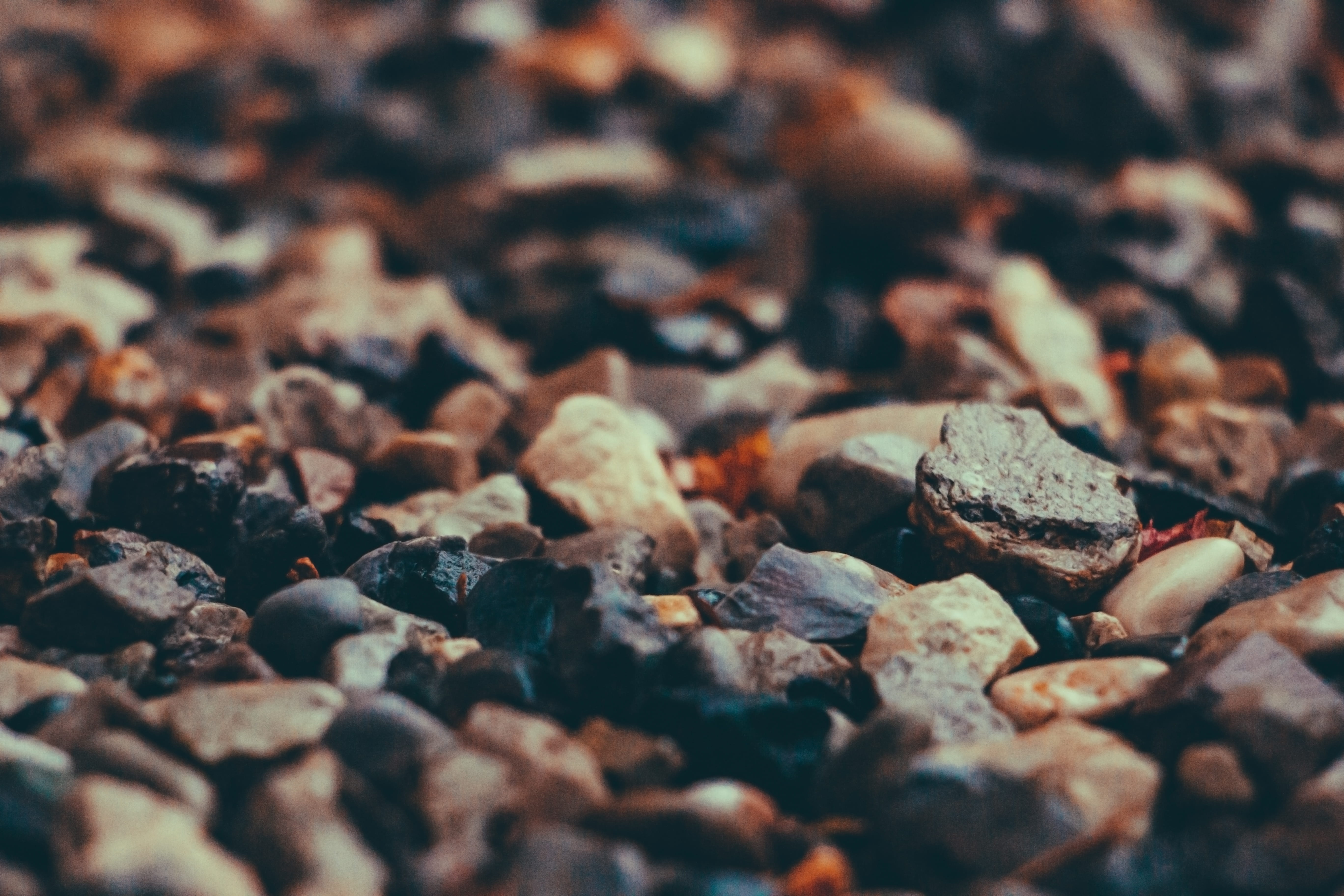 gravel, abundance, dirt road, accessory, accessories, stone - object, goggles, nature, rock, pebble, animal, 5K, plant, blossom, large group of objects, HD Wallpaper