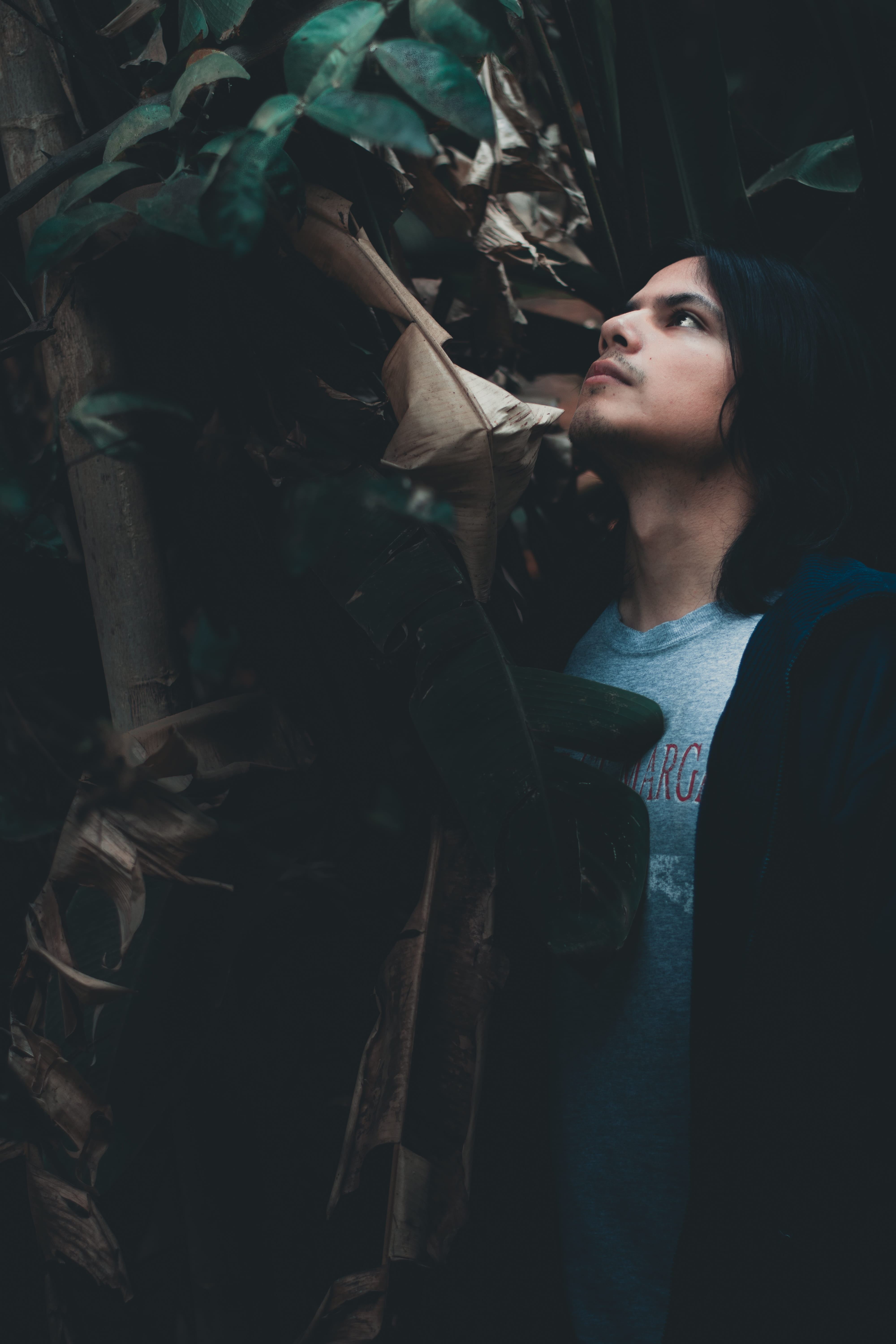 sleeve, 5K, vertebrate, green, apparel, portrait, contemplation, indoors, waist up, person, hair, one animal, real people, pants, hat, plant, overcoat, Phone HD Wallpaper
