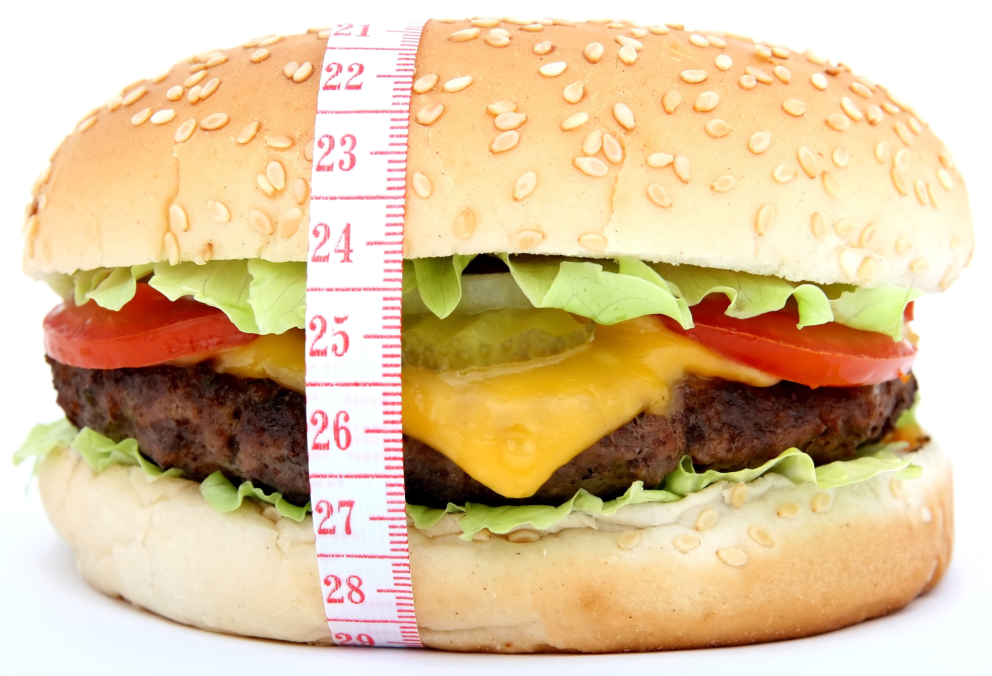 weightloss, seed, green, white, cooking, health, snack, fast food restaurant, watering, fat, burger, loaded, no people, fresh, ready-to-eat, mayo, tomato, HD Wallpaper
