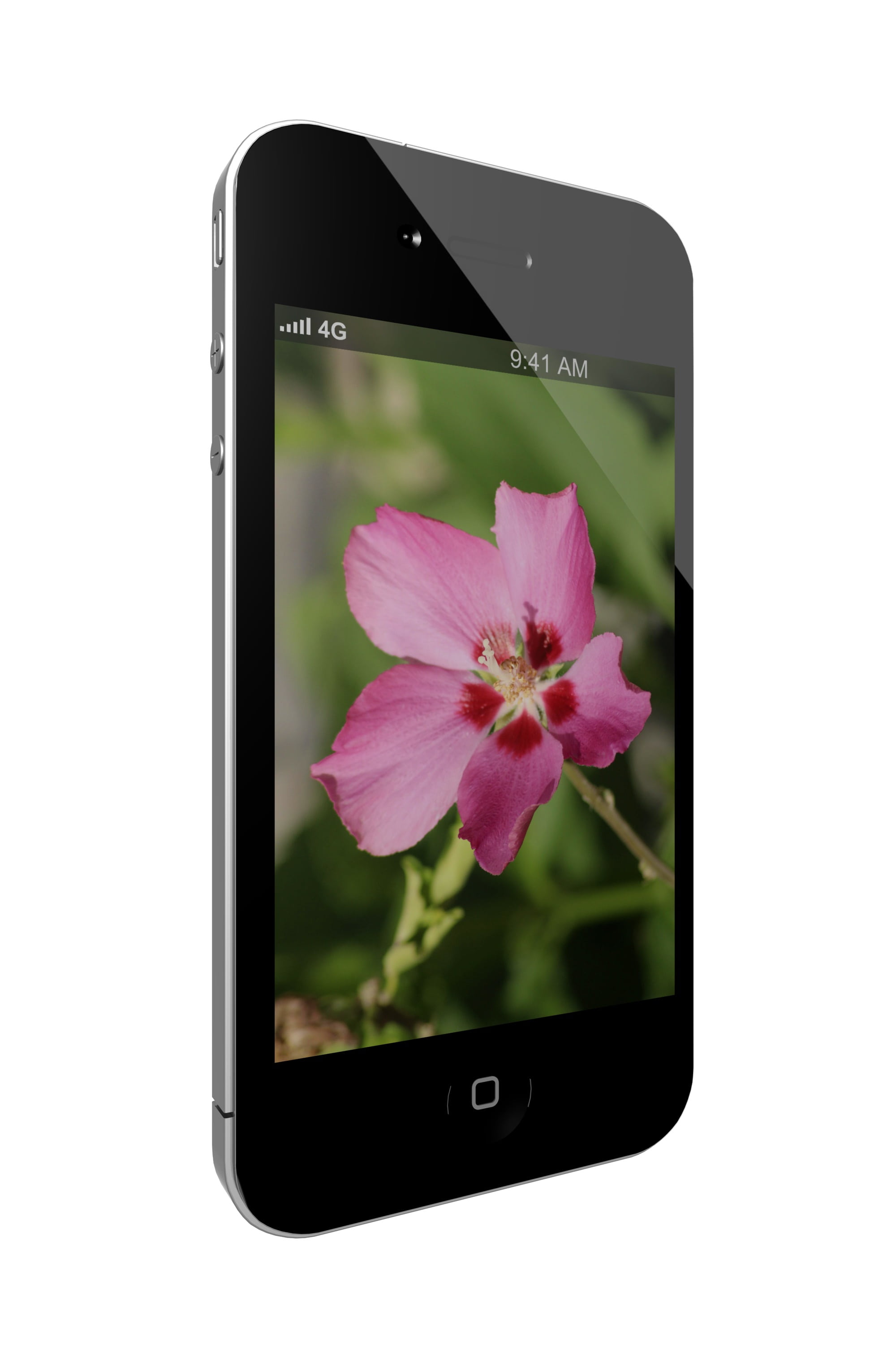 screen, isolated, communication, technology, flower, portable, touch Screen, pink color, mobile Phone, 2K, modern, telephone, flowering plant, wireless Technology, Phone HD Wallpaper