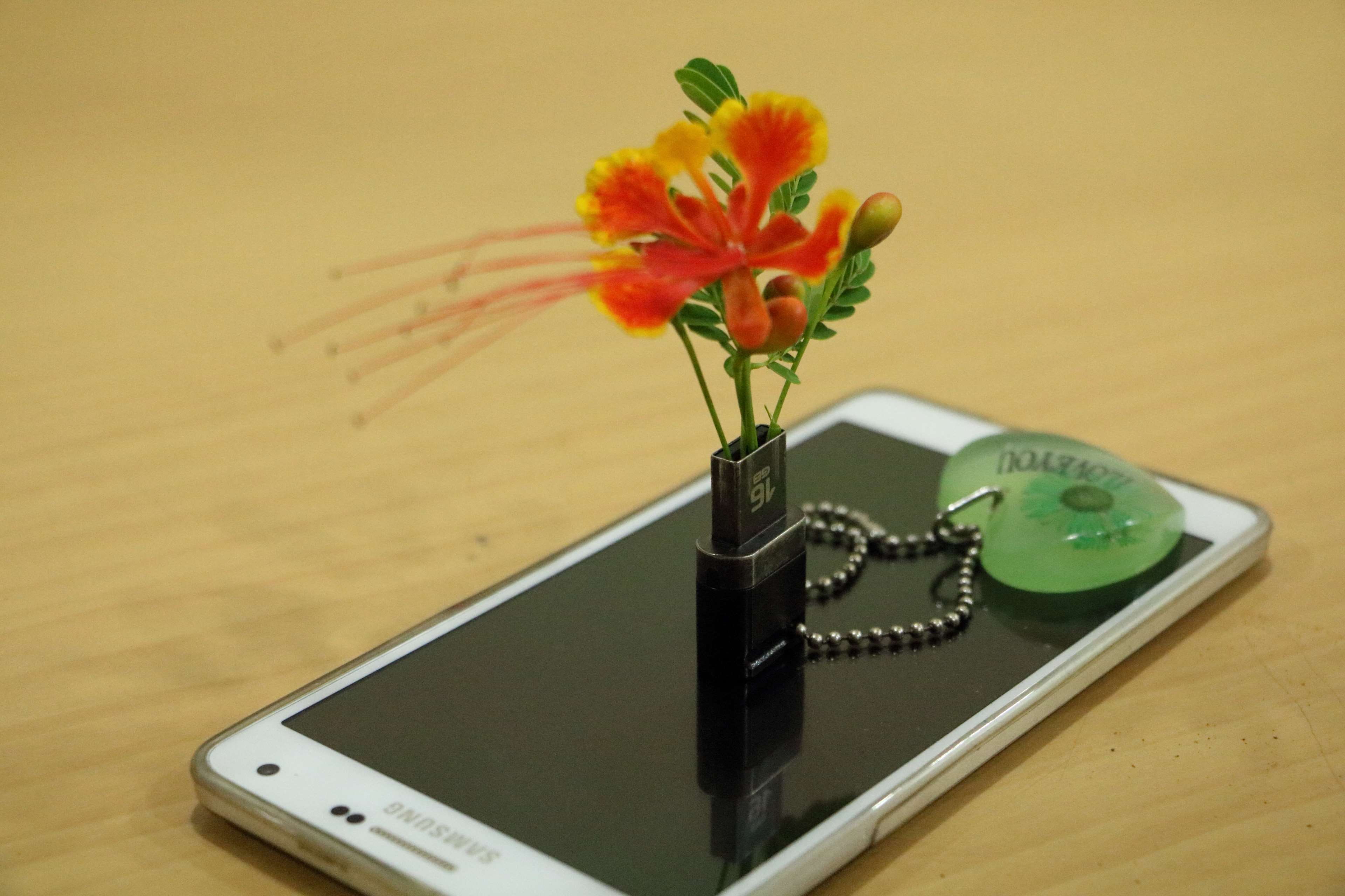 close-up, smart phone, communication, 4K, vase, beauty in nature, chain, flower, vulnerability, wood - material, key, plant, connection, still life, no people, HD Wallpaper