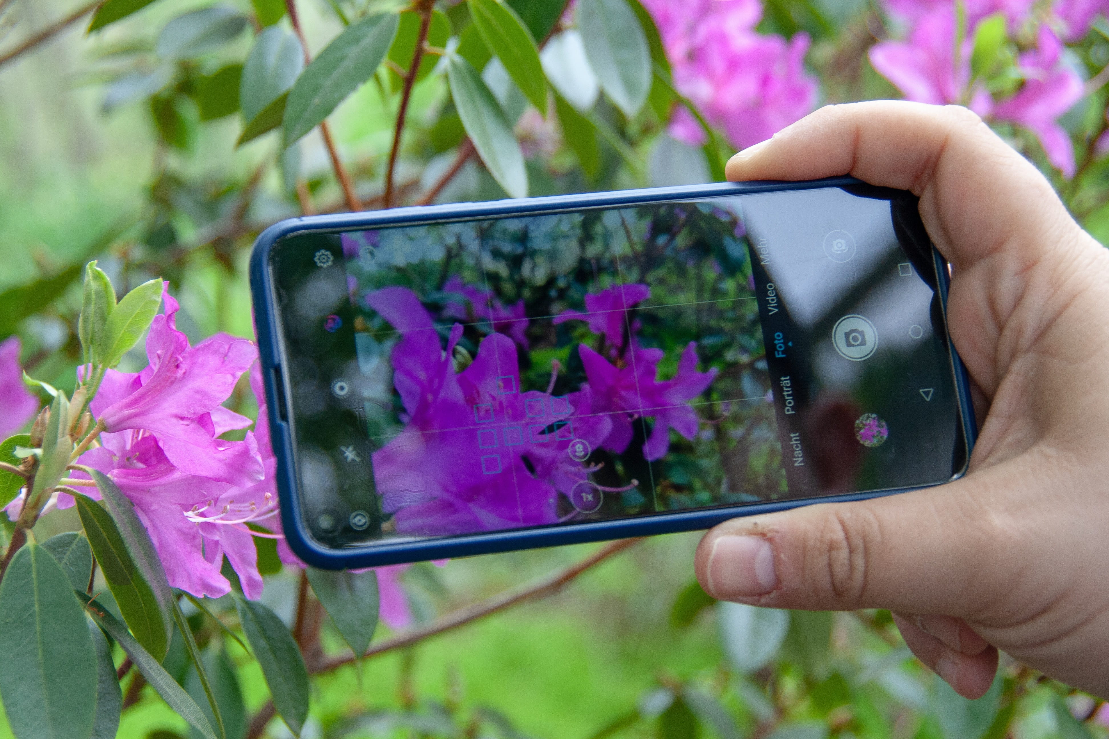 purple, detail, phone, communication, wireless, hand, photography themes, flora, device, flower, one person, technology, flowering plant, 4K, holding, HD Wallpaper
