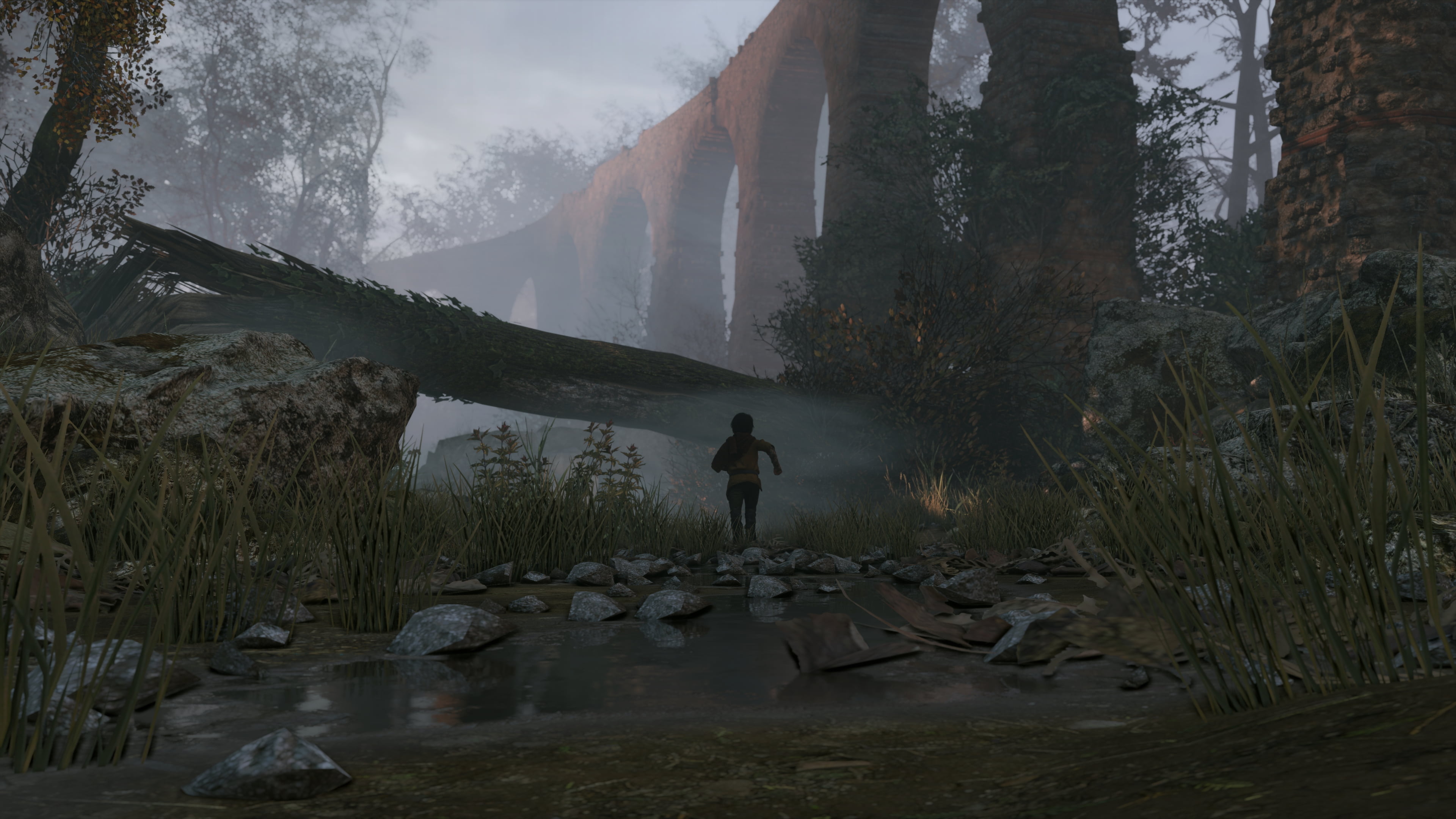 4K, A Plague Tale Innocence, Nvidia Ansel, HD Wallpaper