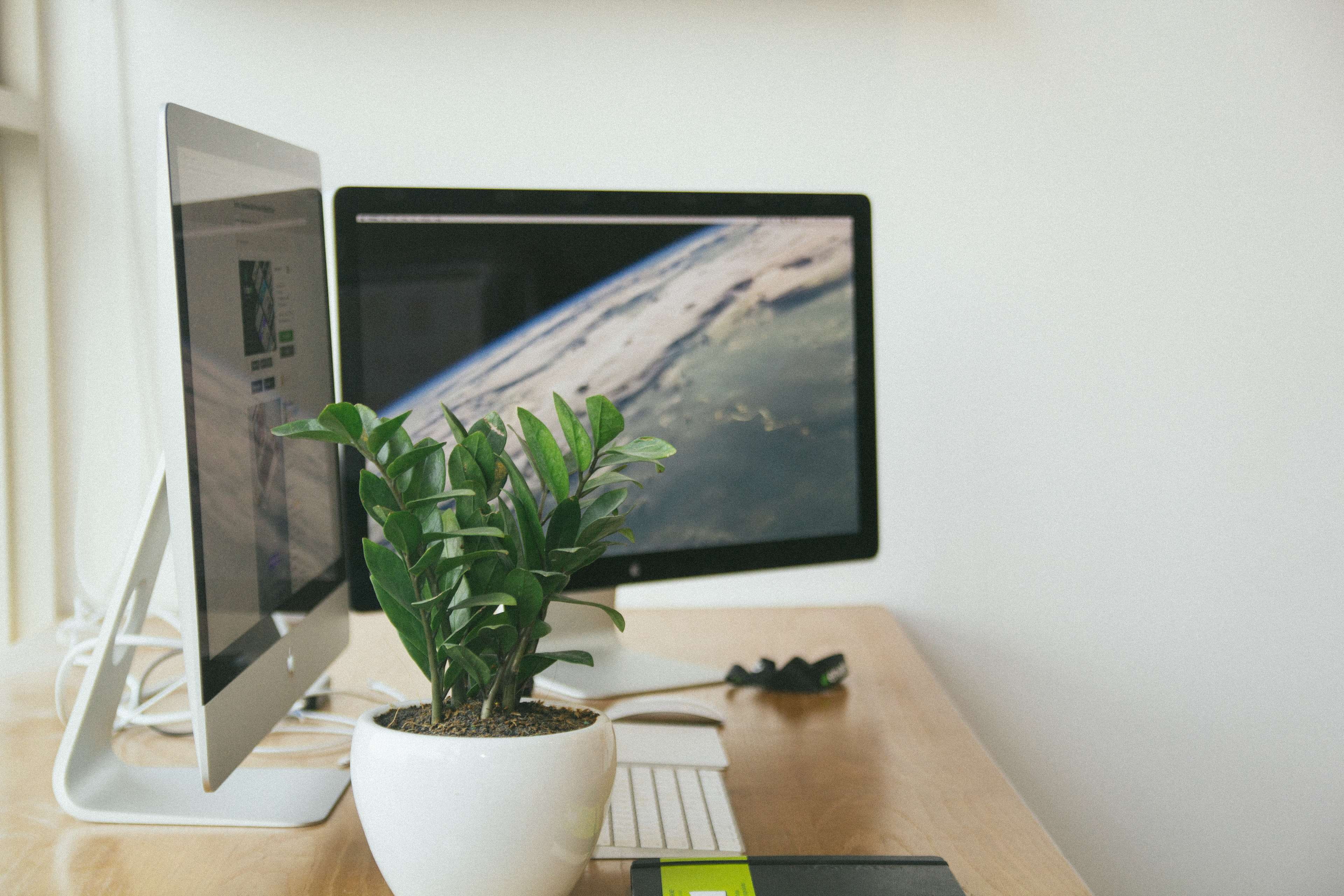 home interior, day, domestic room, 4K, keyboard, workspace, houseplant, wall - building feature, lance, flower pot, nature, growth, setup, imac, monitors, HD Wallpaper