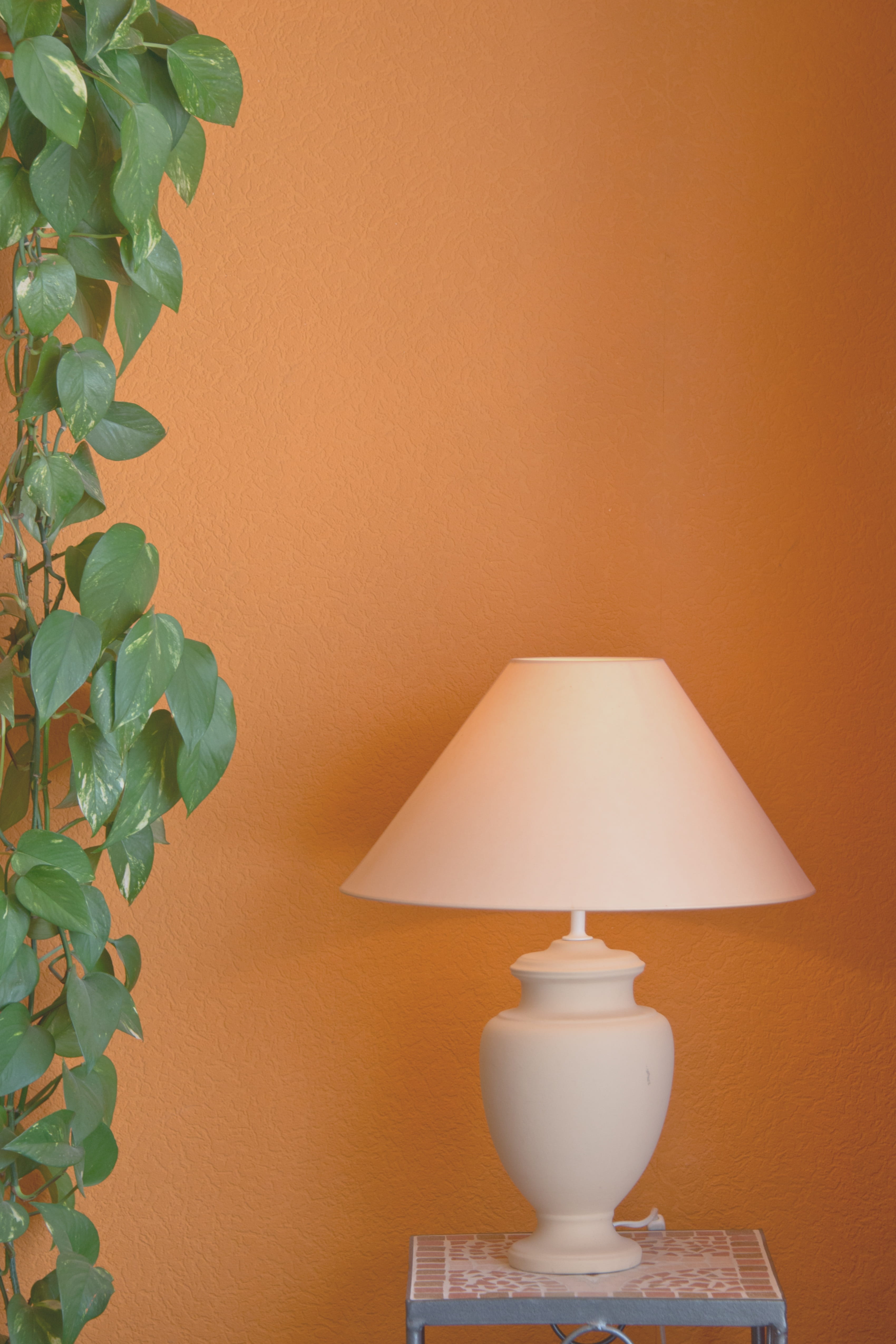 4K, wall - building feature, illuminated, Space, ornate, decoration, Lamp, lighting equipment, architecture, Room, domestic room, close-up, plant, light, Phone HD Wallpaper