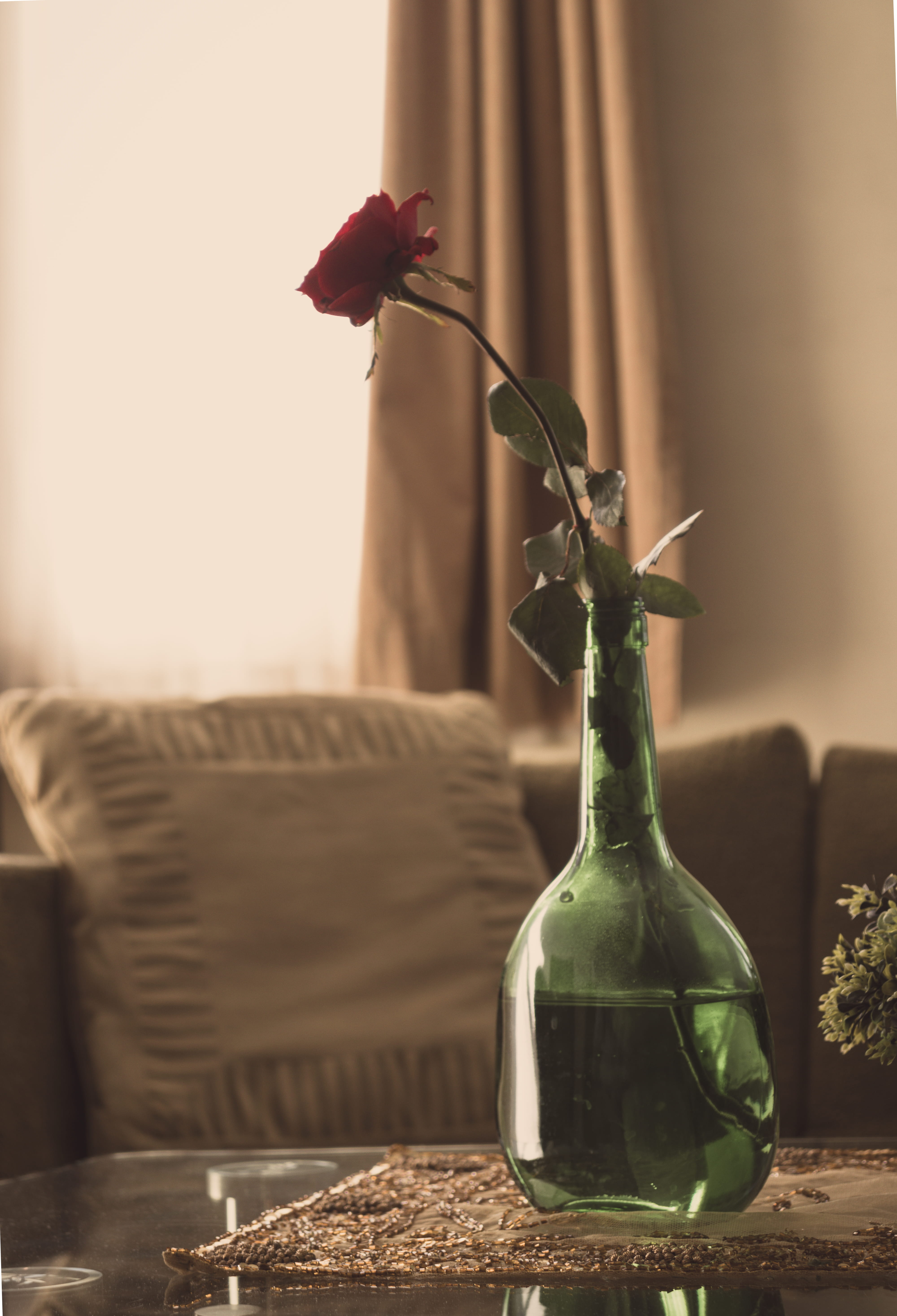 chair, flower head, homedecor, blossom, 5K, interiordesign, alcohol, plant stem, nature, interior, focus on foreground, glass, home, freshness, close-up, Phone HD Wallpaper