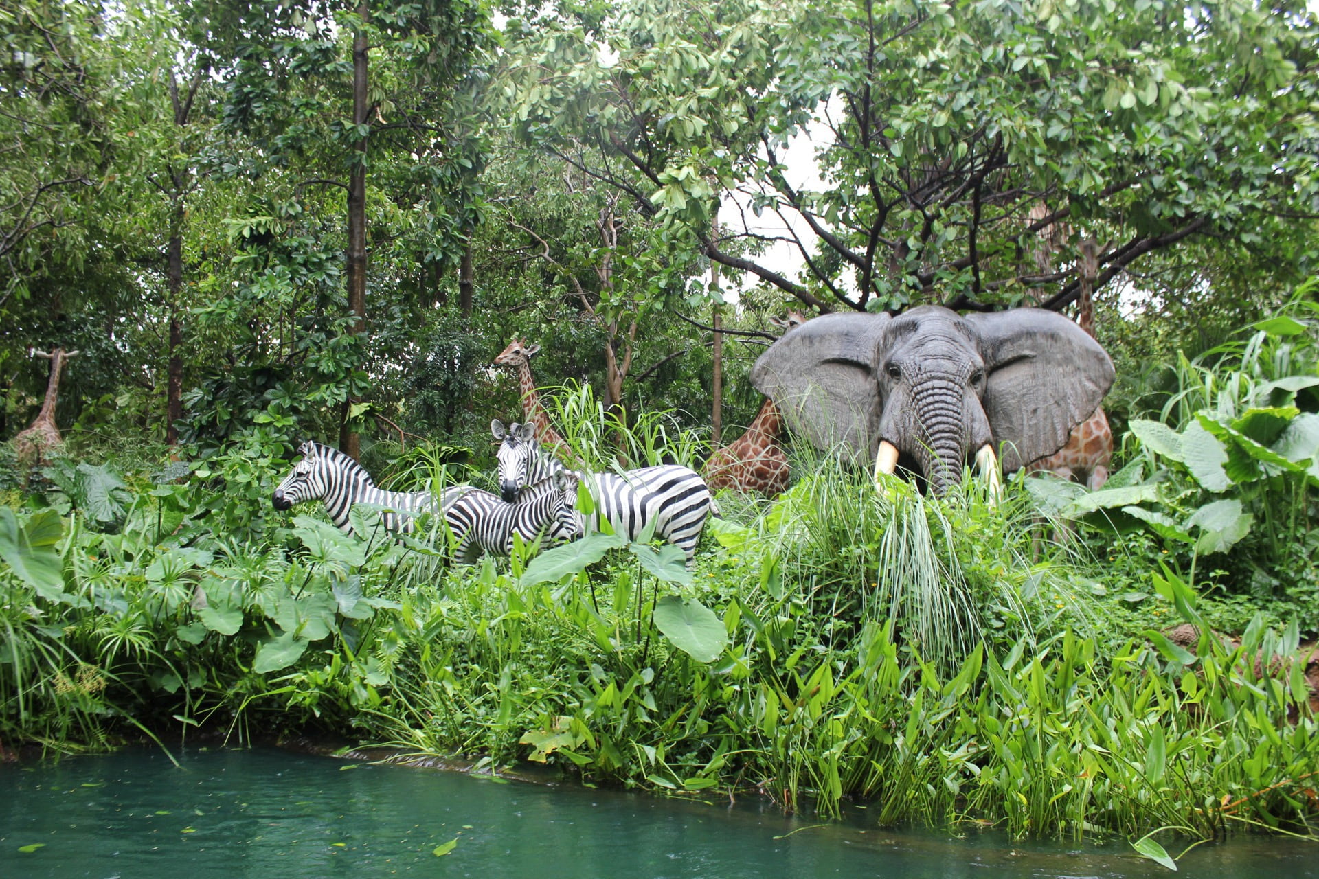 beauty in nature, animal, day, two, drinking, nature, white tiger, jungle, water, no people, vertebrate, elephants, plants, grass, forest, body, zebras, HD Wallpaper