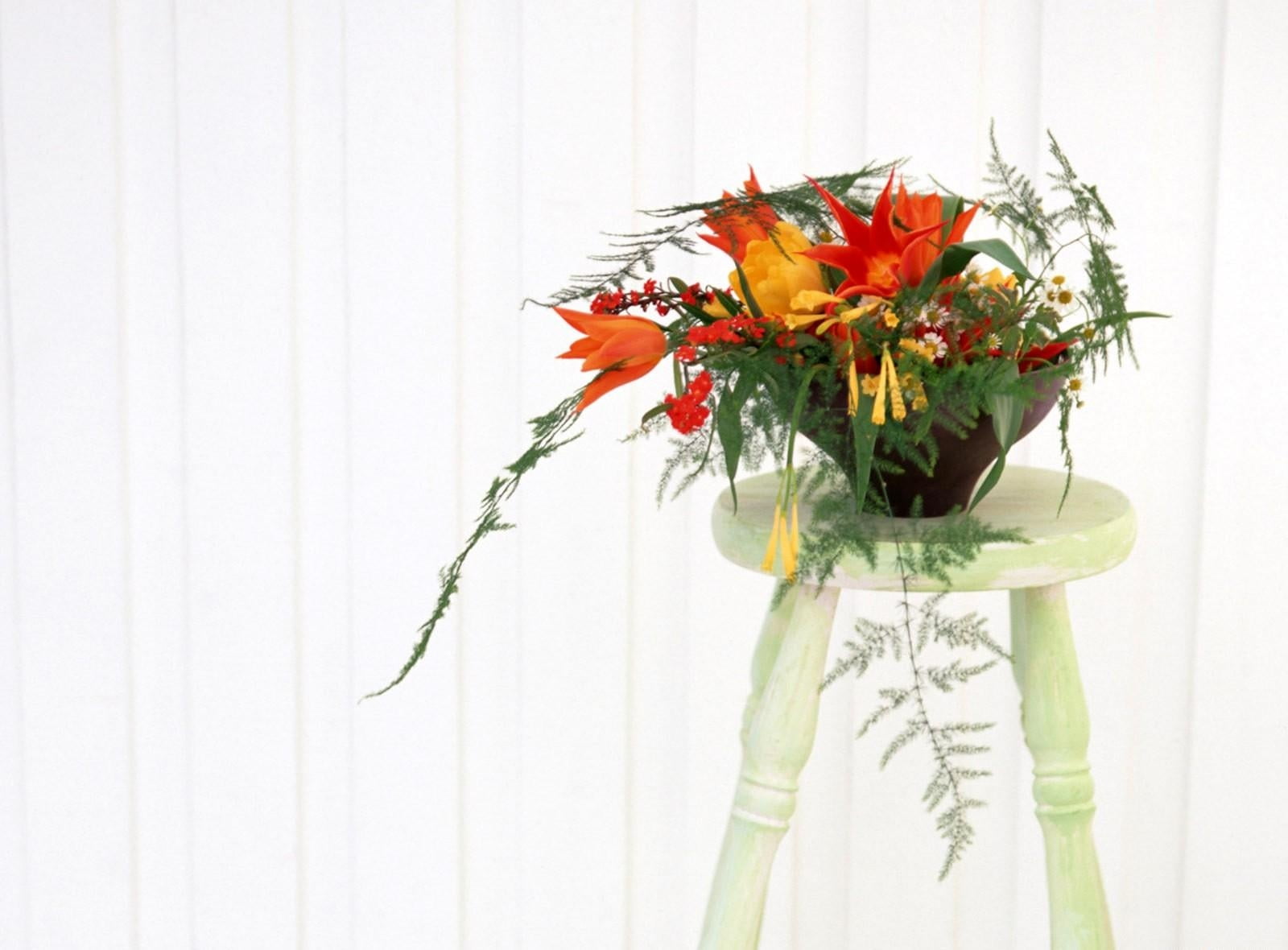 indoors, no people, white background, planters, vase, arrangement, curtain, flower, orange color, chair, flower arrangement, vulnerability, flower head, HD Wallpaper