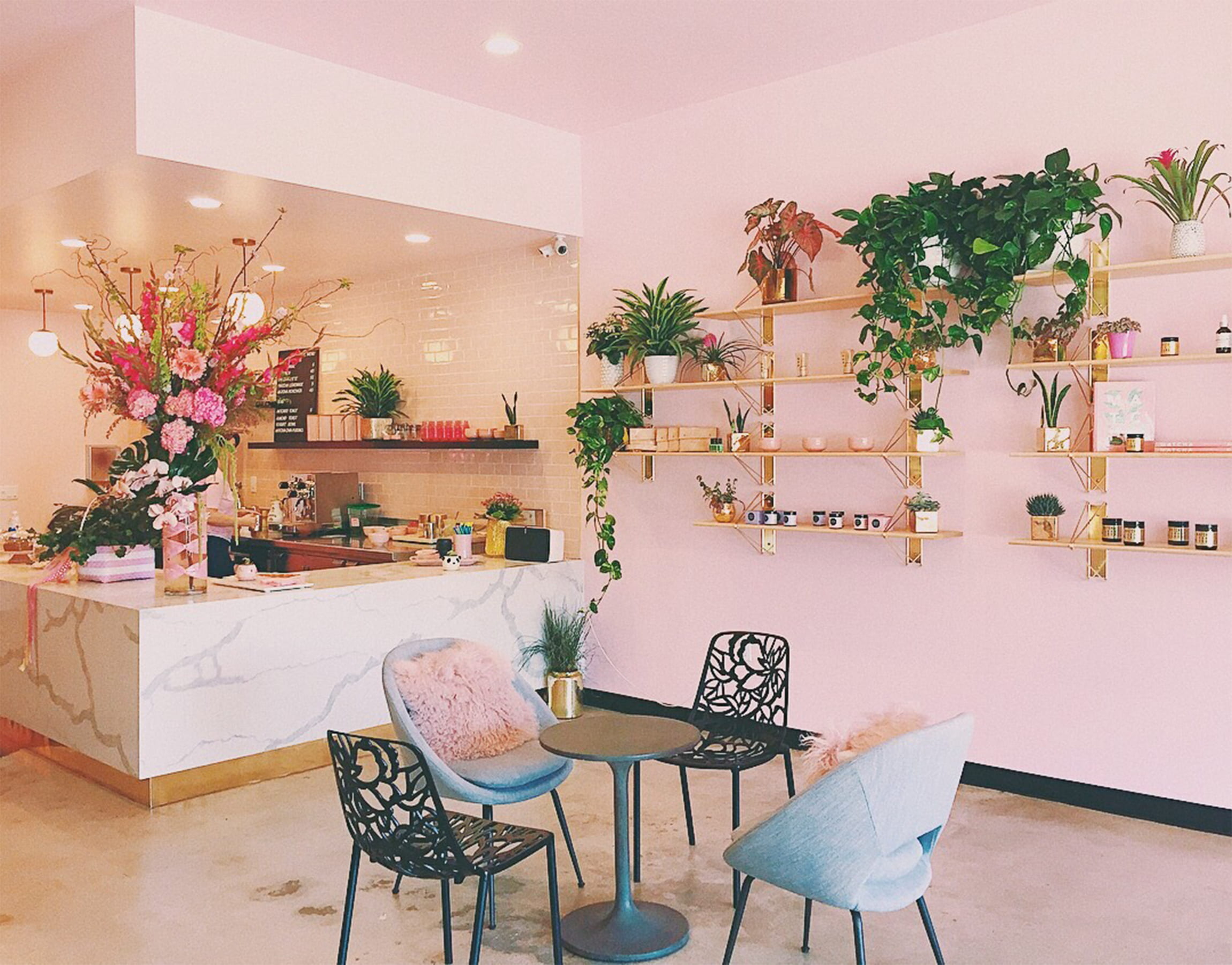 flower, 1080P, near, round, home showcase interior, building, seat, table, plant, set, mid century, counter, chairs, indoors, bistro, furniture, vase, HD Wallpaper