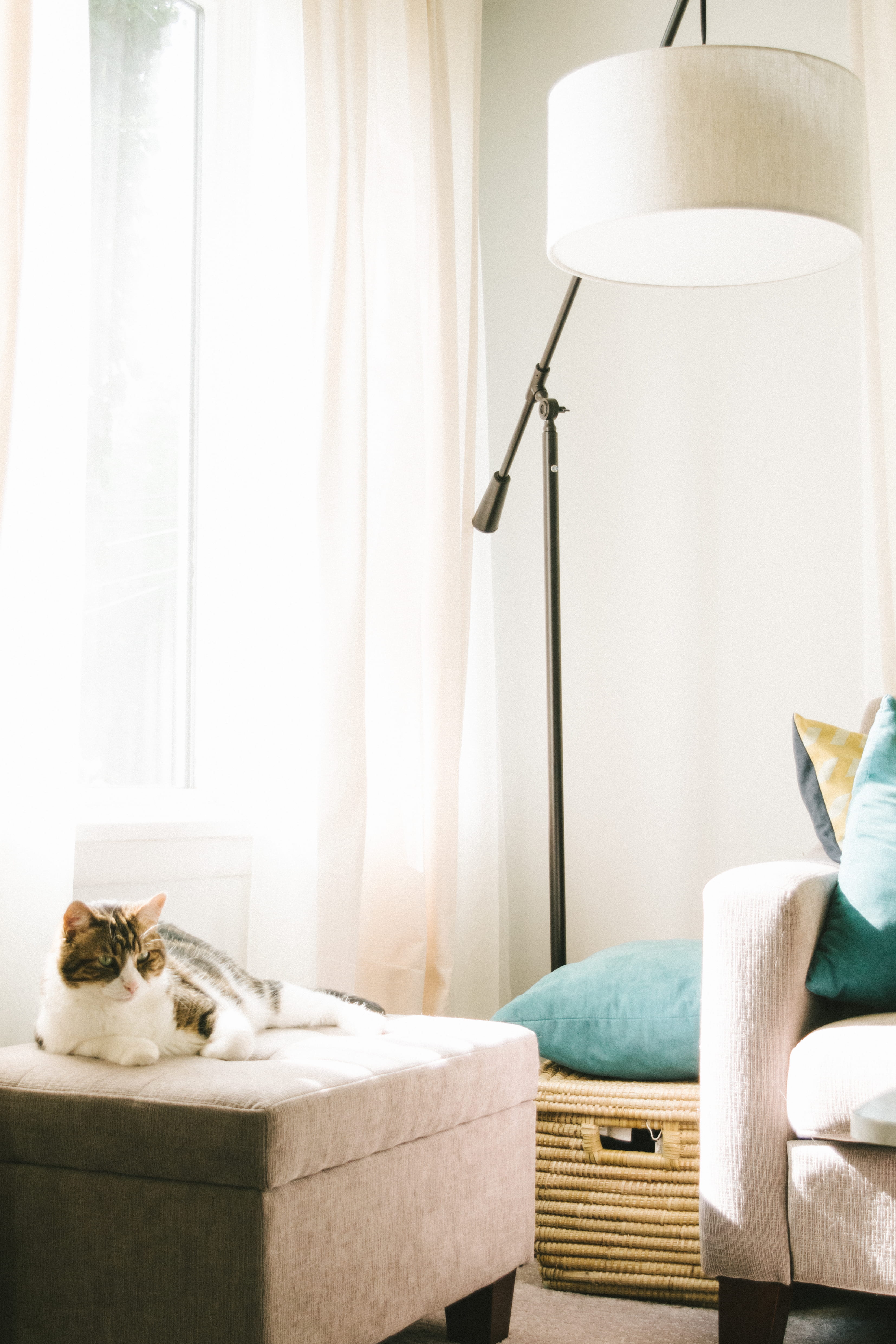 pillow, interior, table, curtain, comfy, clothes, comfortable, sleep, hamper, home interior, lying, absence, domestic room, beside, lighted, room, couch, Phone HD Wallpaper
