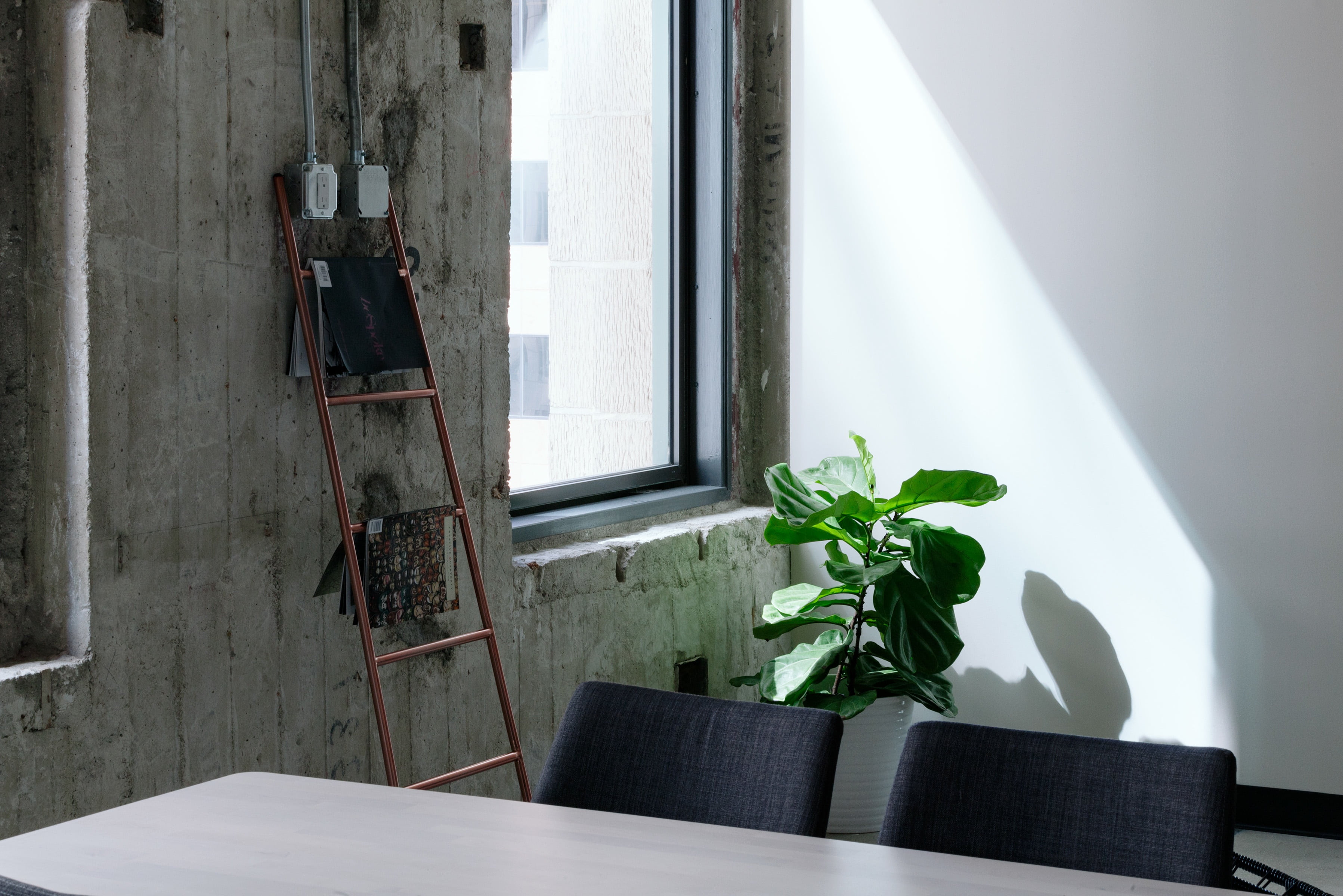 table, no people, glass, ladder, seat, nature, white color, houseplant, leaning, domestic room, absence, wood - material, plant, brown, interior, leafed, HD Wallpaper
