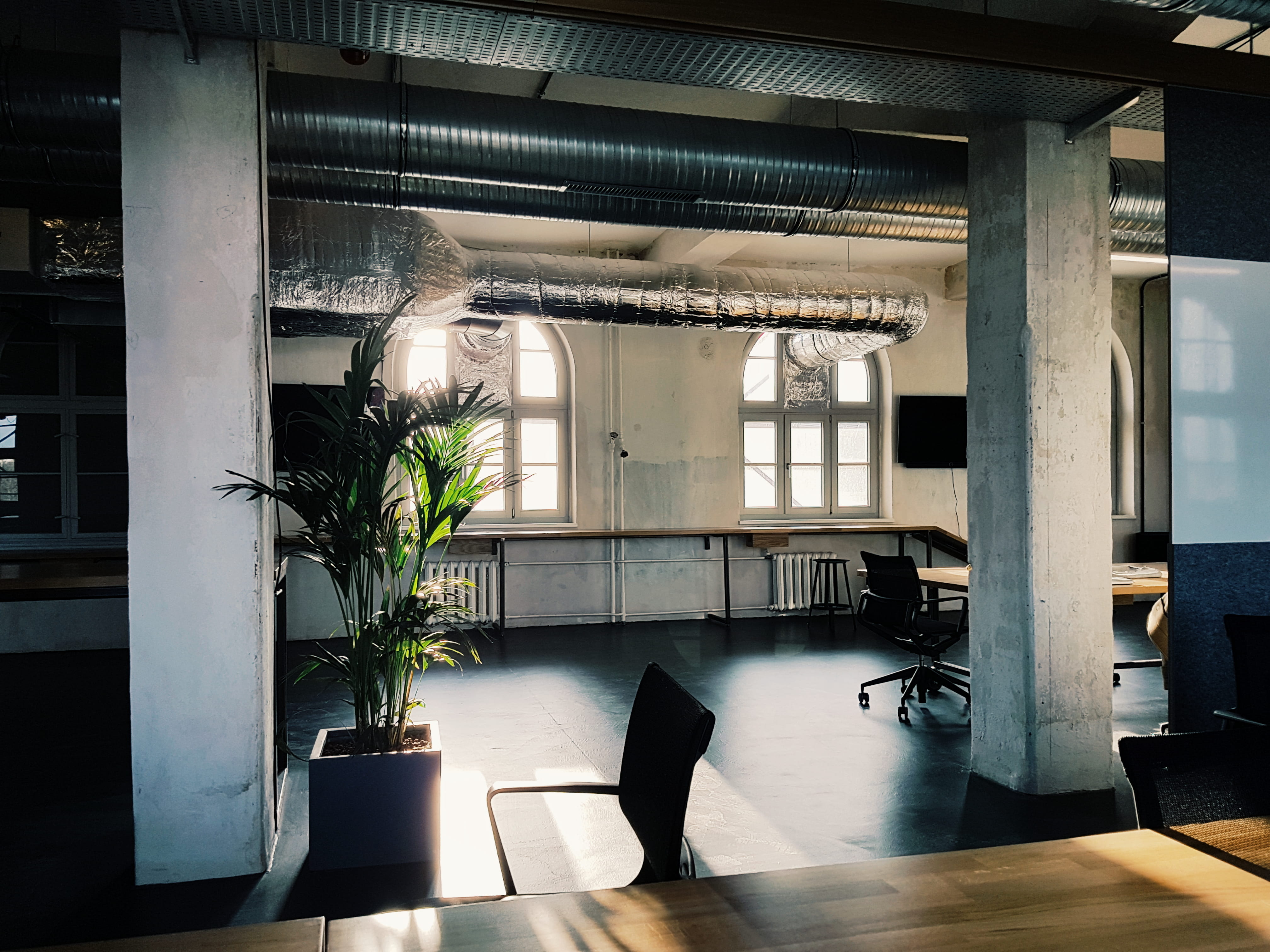 built structure, design, white wall, furnitures, plant, nature, 4K, architectural column, green, desks, daylight, leaf, potted plant, room, black, interior design, HD Wallpaper