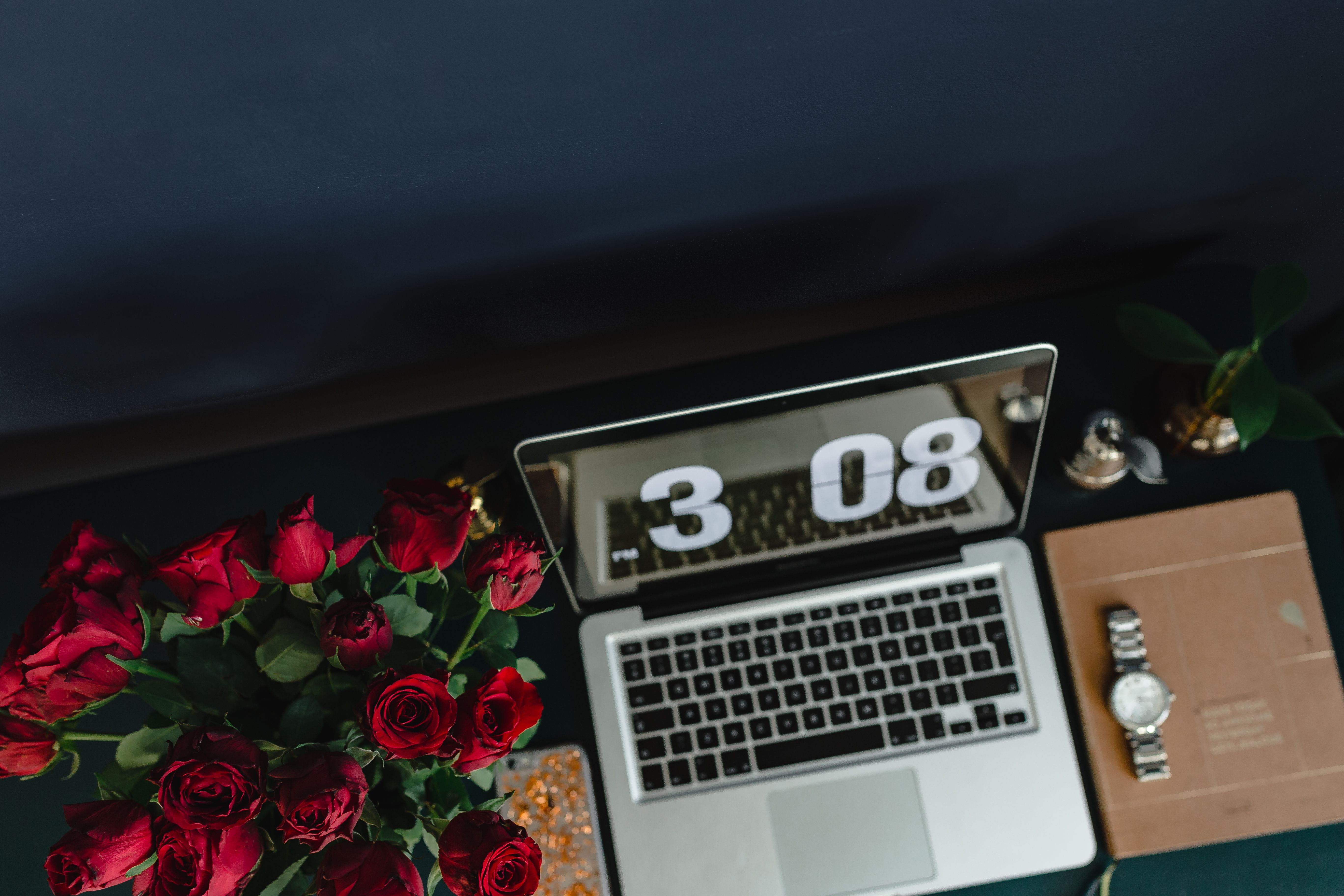 laptop, working, red, Red Roses, flower head, bouquet, flower, bunch of flowers, roses, plant, computer, indoors, connection, rose, workplace, workspace, HD Wallpaper