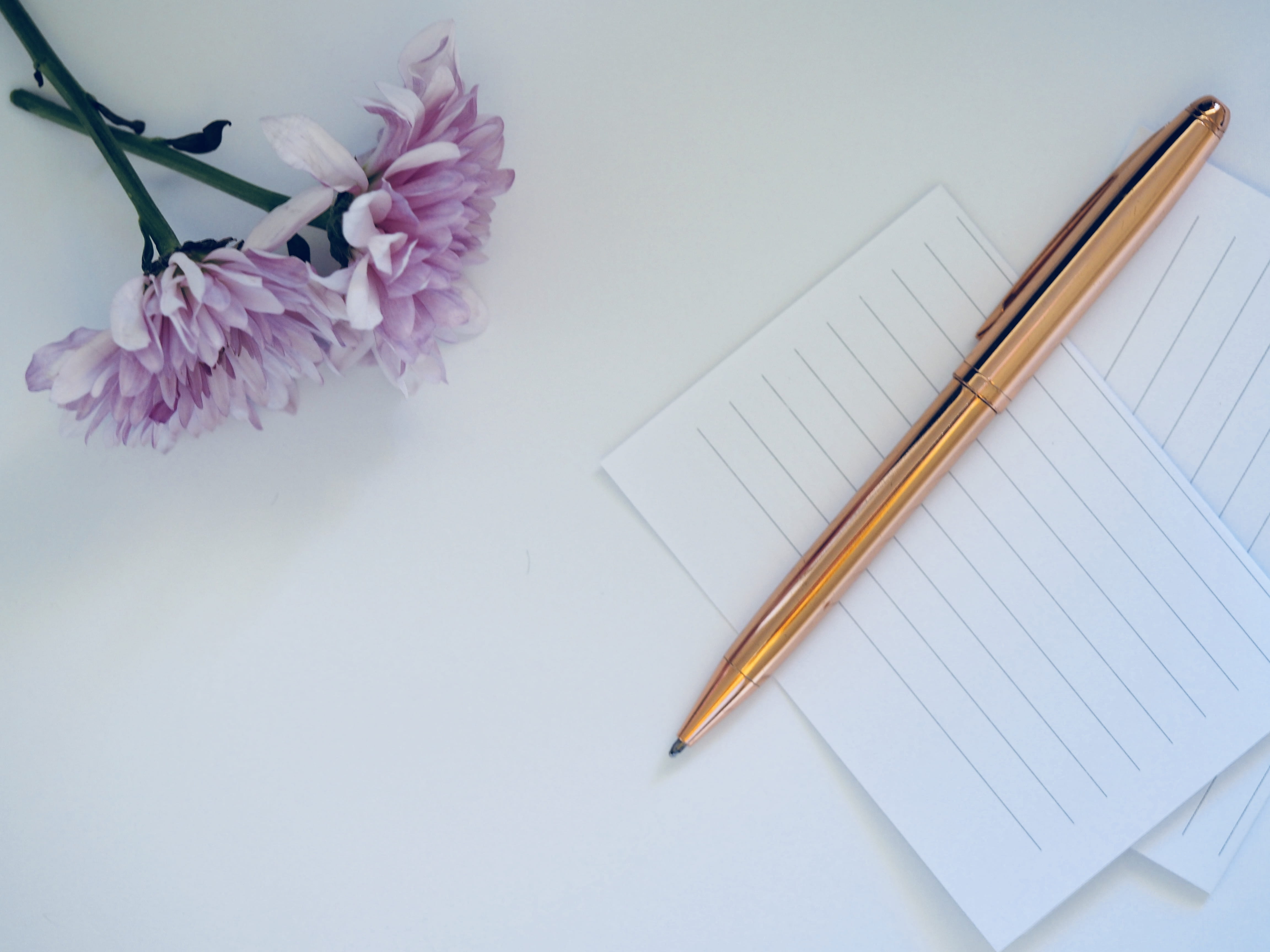 freshness, note pad, paper, 4K, flowers, publication, indoors, flowering plant, studio shot, close-up, pencil, flower, white, fragility, beauty in nature, HD Wallpaper