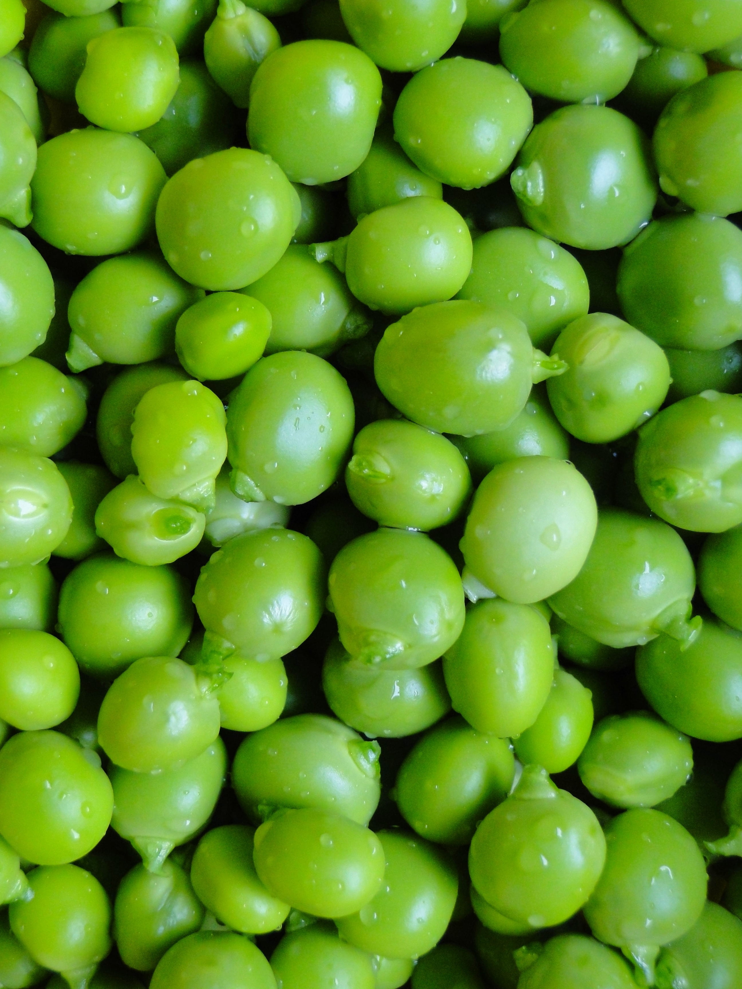 high angle view, fresh, macro, green, shelled, green pea, abundance, full frame, peas, food, large group of objects, organic, close-up, 2K, garden, wellbeing, Phone HD Wallpaper