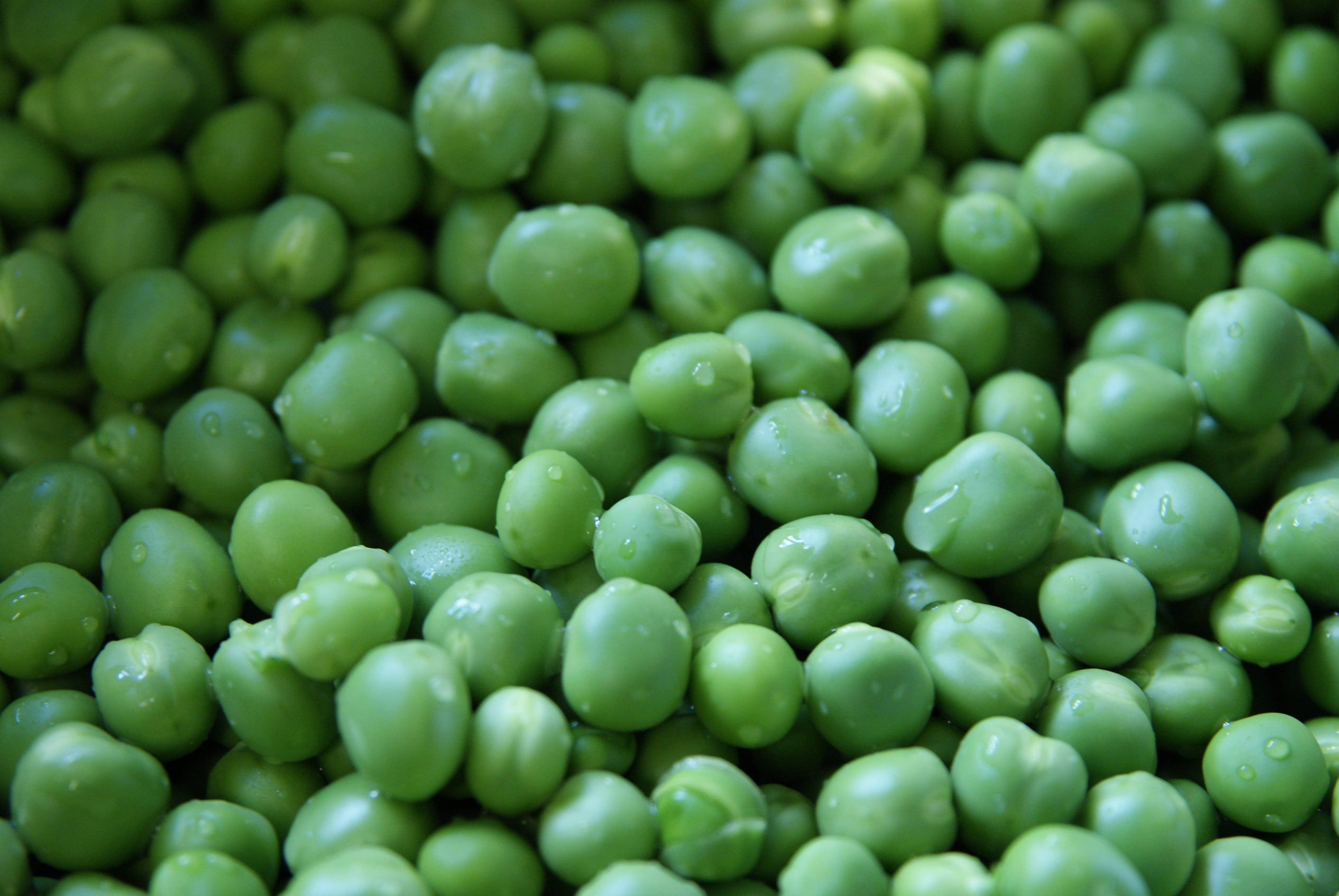 indoors, food, peas, large group of objects, close-up, fresh, high angle view, still life, wellbeing, food and drink, vegetable, legume, no people, abundance, HD Wallpaper