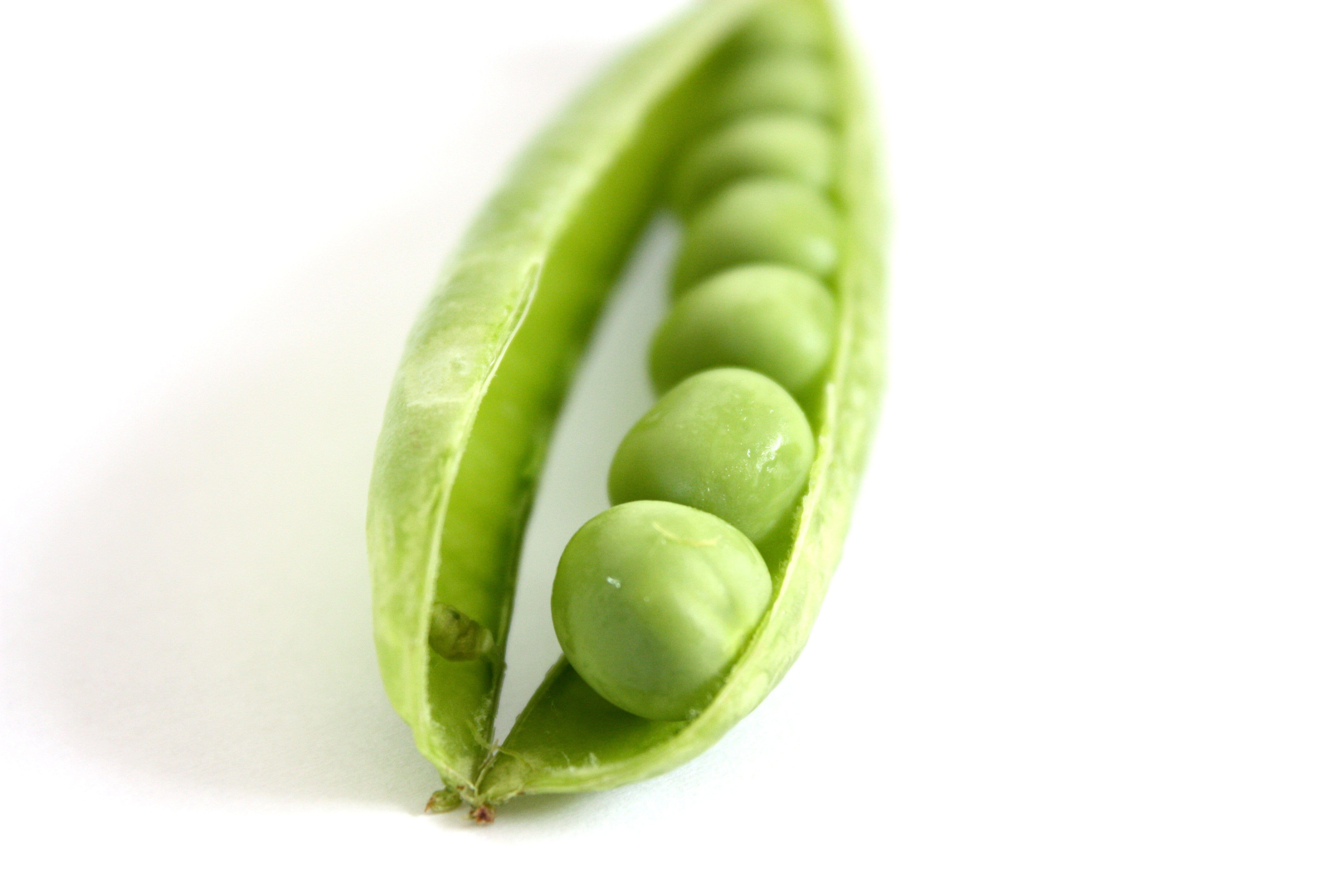 copy space, grow, healthy, still life, fitness, fit, group, studio shot, food, organic, 4K, health, wellbeing, summer, selective, seed, peas, green pea, HD Wallpaper