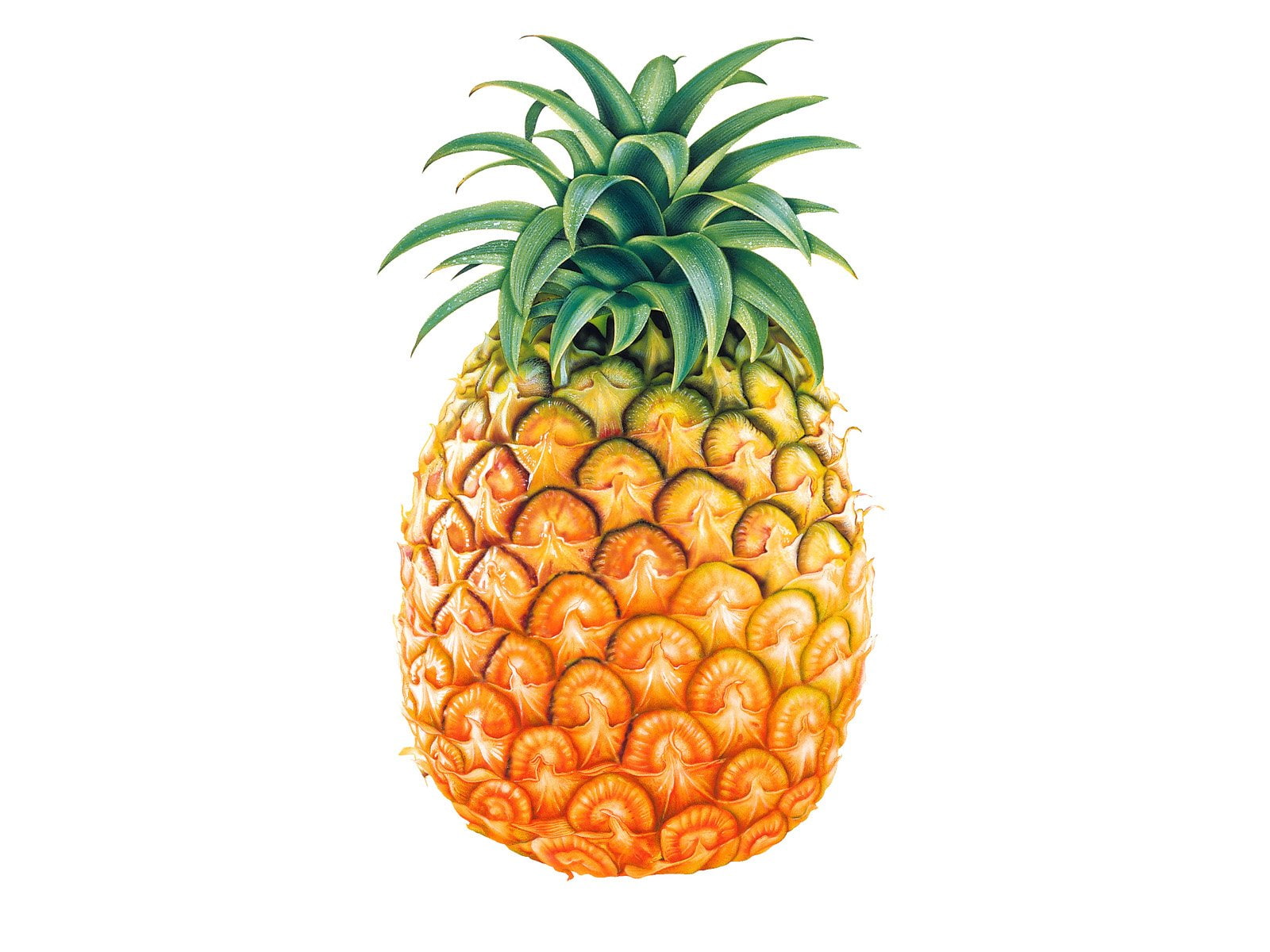 Pineapple, Fruits, 720P, HD Wallpaper