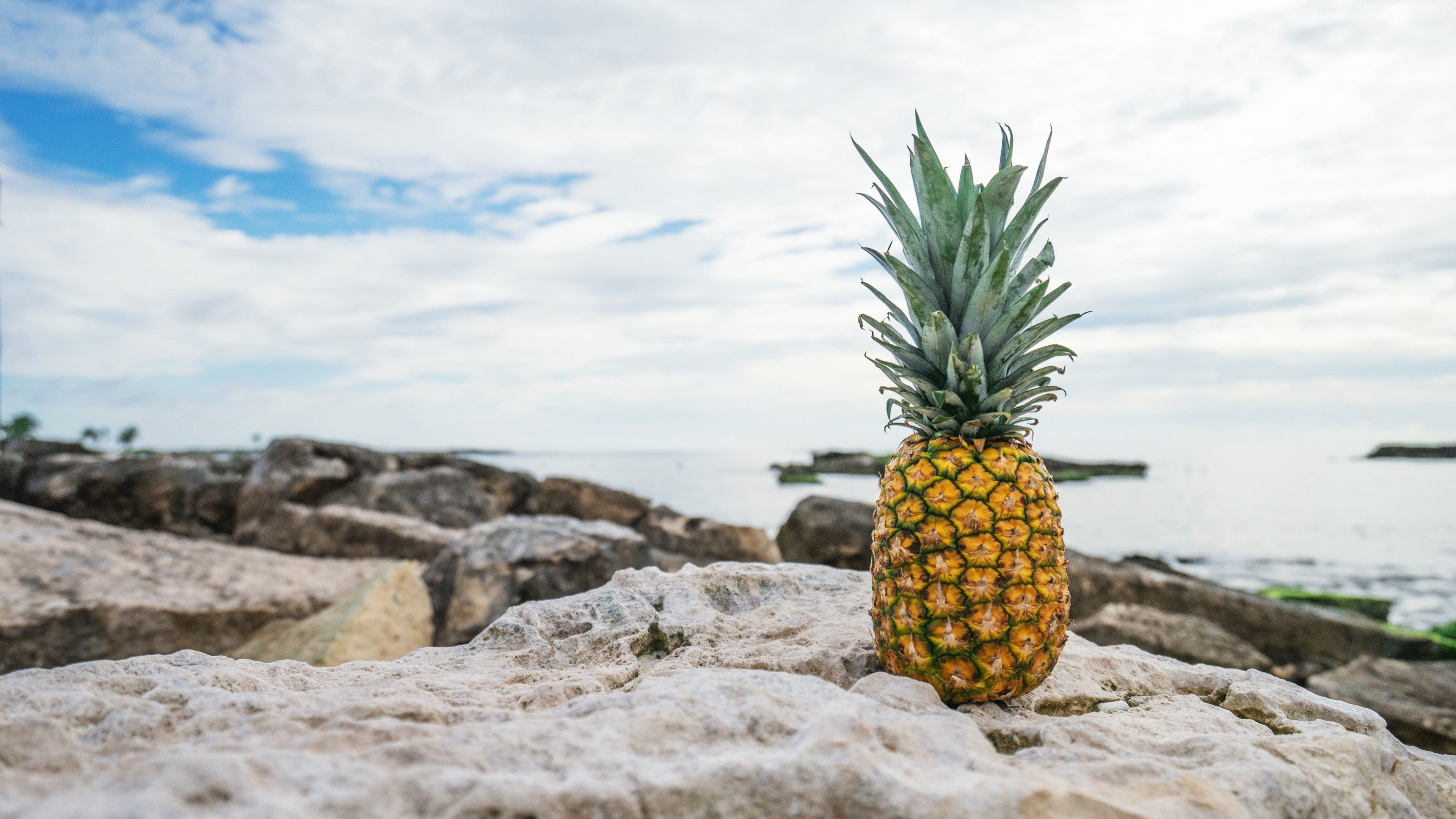 water, rock - object, stones, solid, no people, rock, beauty in nature, nature, beach, outdoors, 4K, pineapple, day, healthy eating, cloud - sky, food and drink, HD Wallpaper