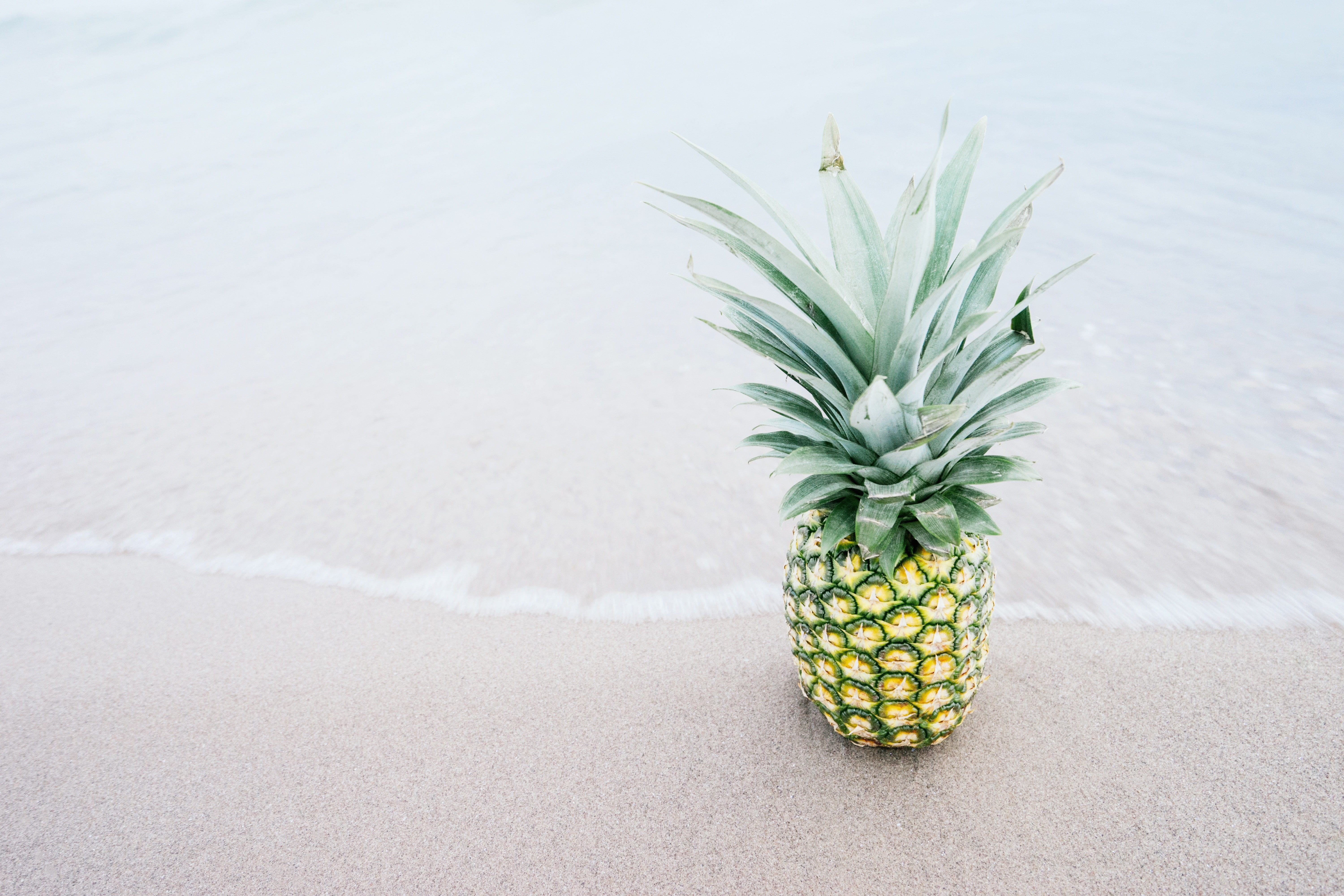 5K, fruit, pineapples, beach, HD Wallpaper