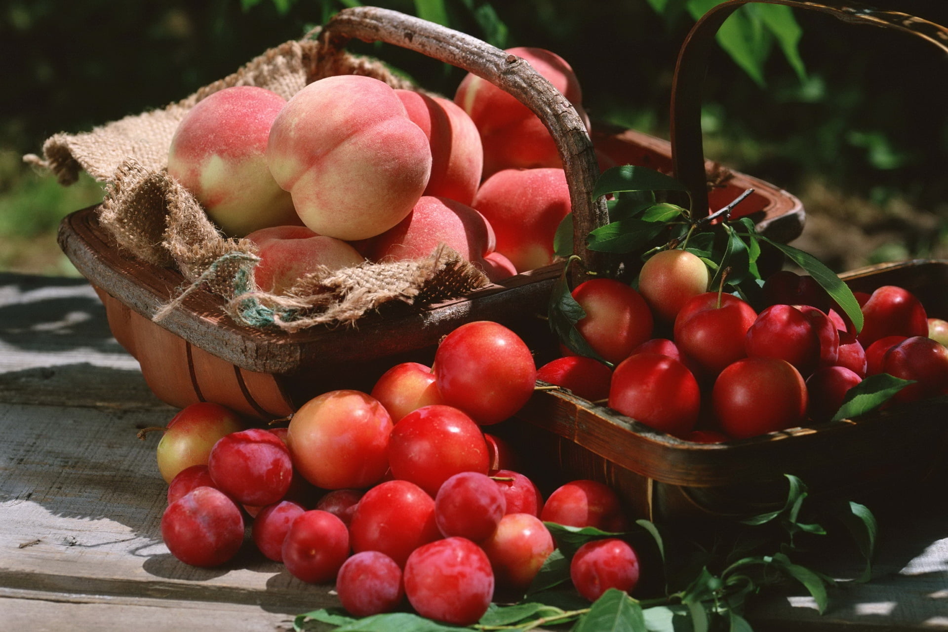 heap, vegetarian Food, food And Drink, gardening, container, vegetable, rustic, plant part, no People, healthy Eating, plant, wood - Material, season, food, HD Wallpaper