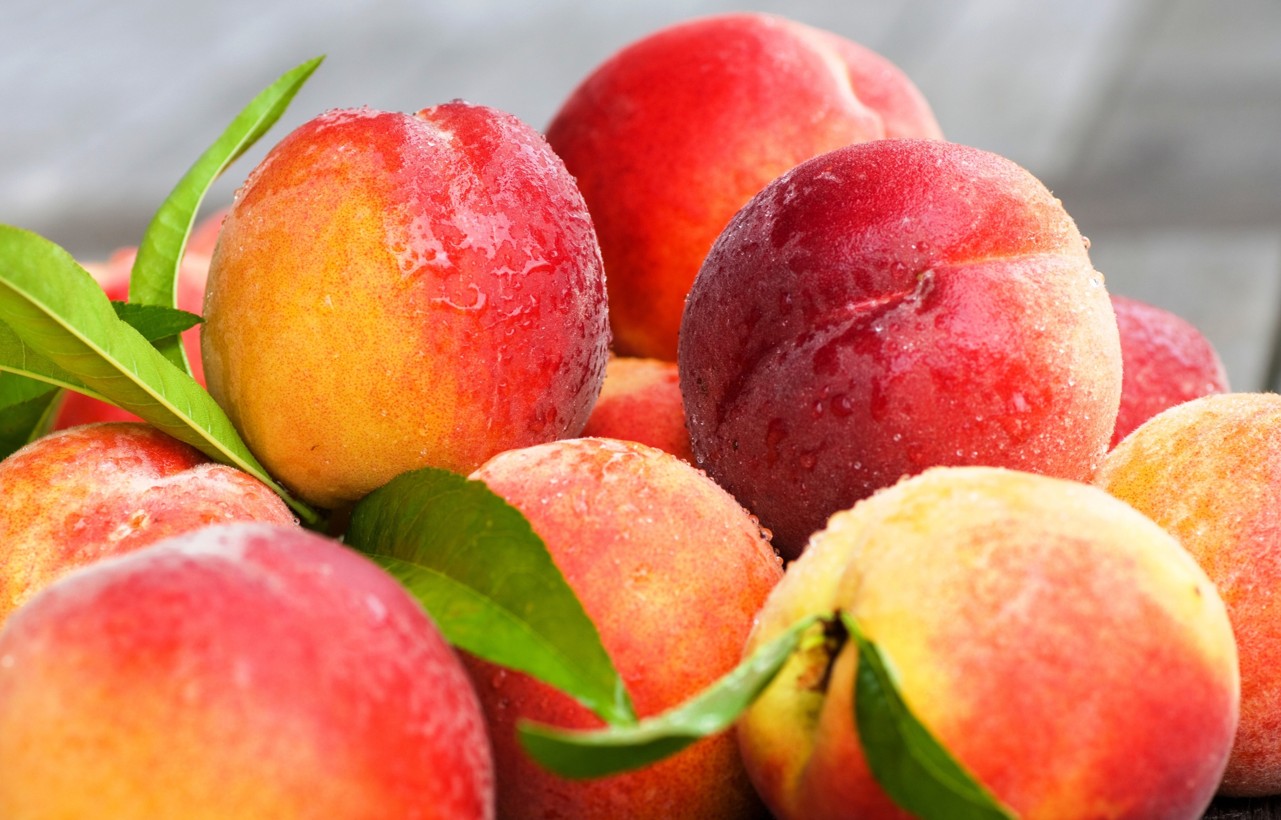 refreshment, wellbeing, gourmet, vegetarian Food, food, temptation, vitamin, nature, healthy Eating, indulgence, sweet Food, nectarines, agriculture, sweet, HD Wallpaper