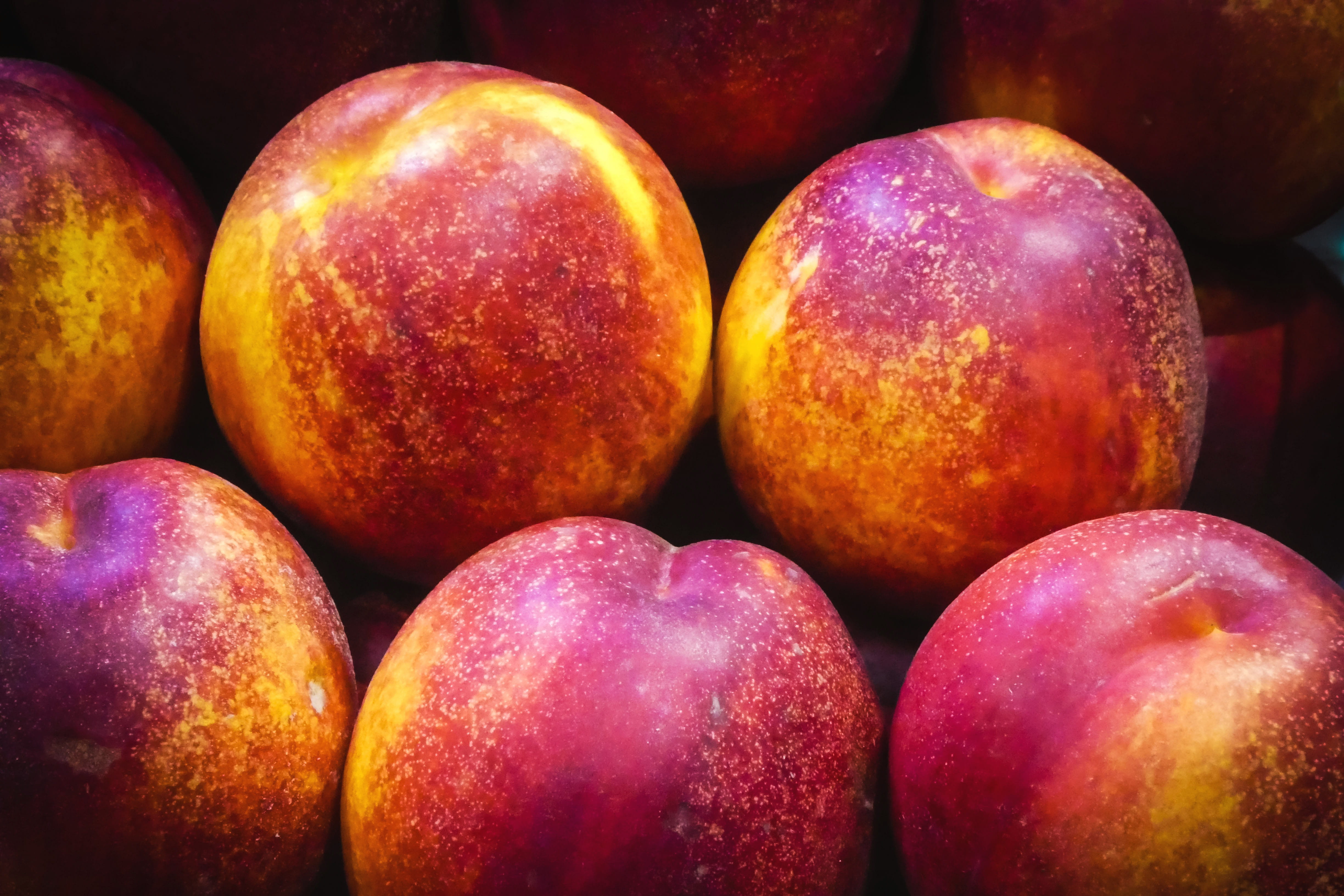 apple - fruit, group of objects, juicy, close-up, healthy eating, healthy lifestyle, medium group of objects, nectarines, red, food and Drink, 4K, fruit, HD Wallpaper