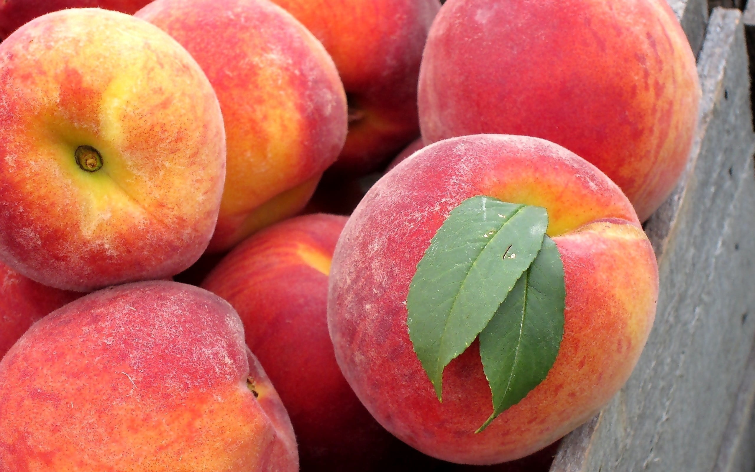 agriculture, sweet Food, summer, dessert, red, organic, nature, leaf, 2K, nectarine, day, peach, dieting, group of objects, ripe, autumn, vitamin, high angle view, HD Wallpaper
