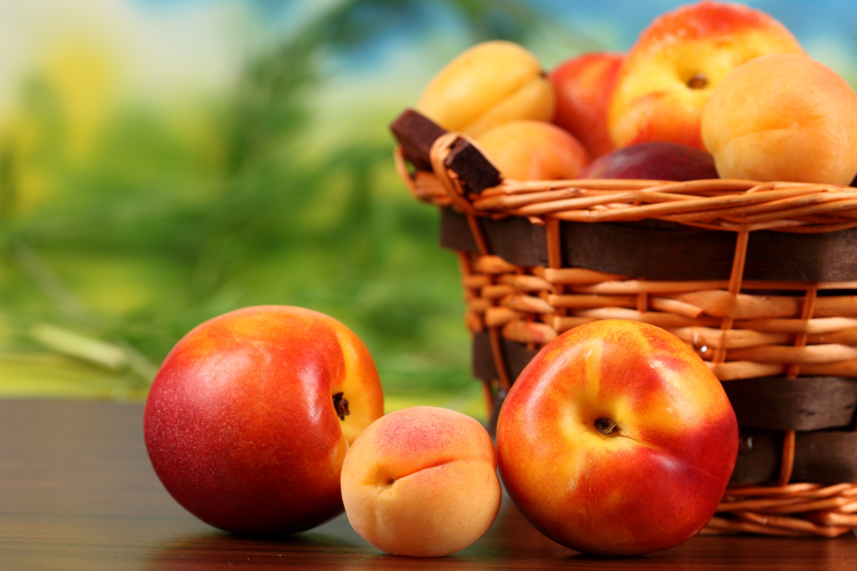 basket, peaches, fruit, apricots, nectarine, 2K, HD Wallpaper