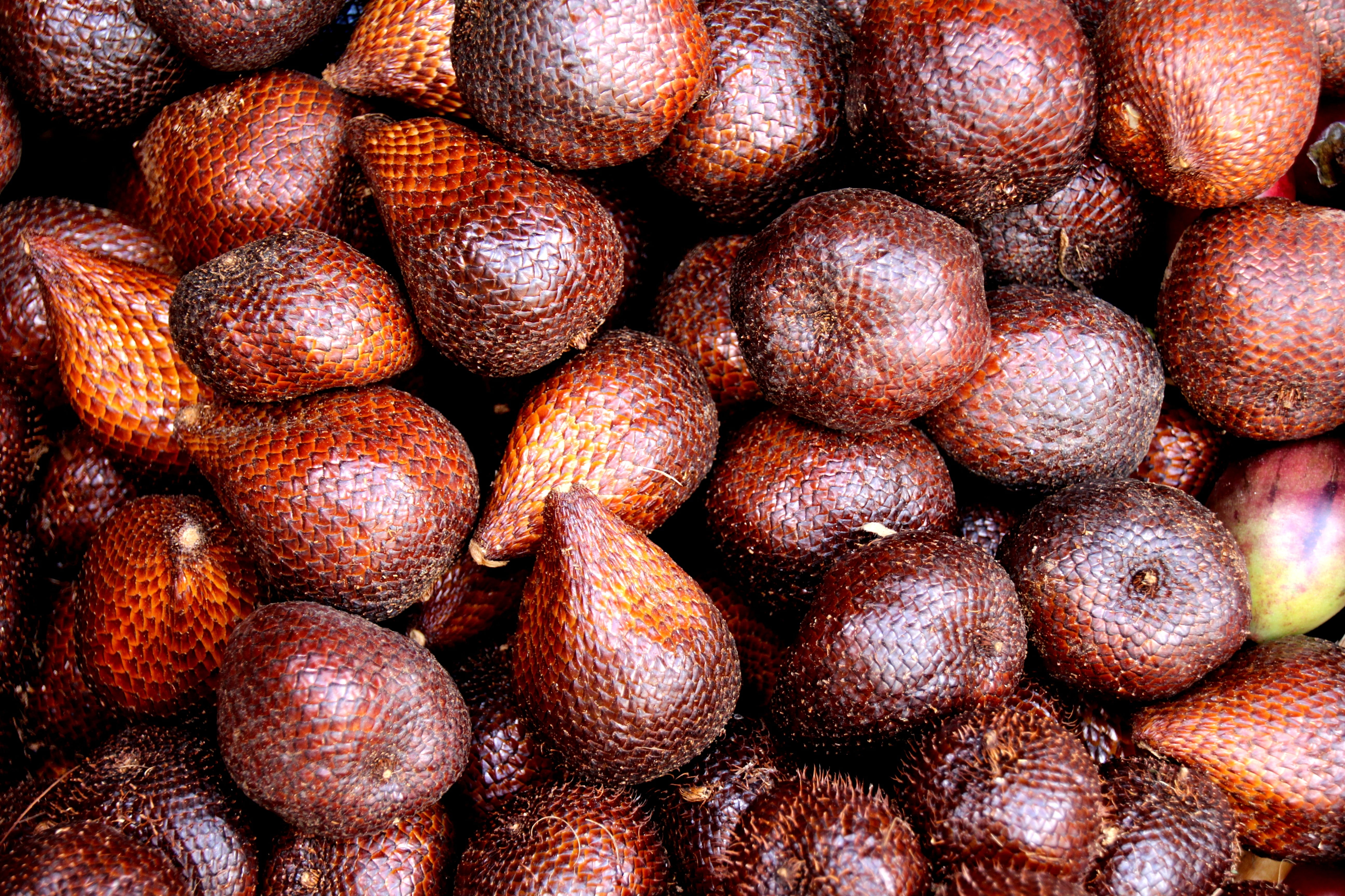 food, fruit, wellbeing, freshness, no people, full frame, indoors, exotic fruits, market, salacca zalacca, still life, for sale, backgrounds, retail, snake fruit, HD Wallpaper