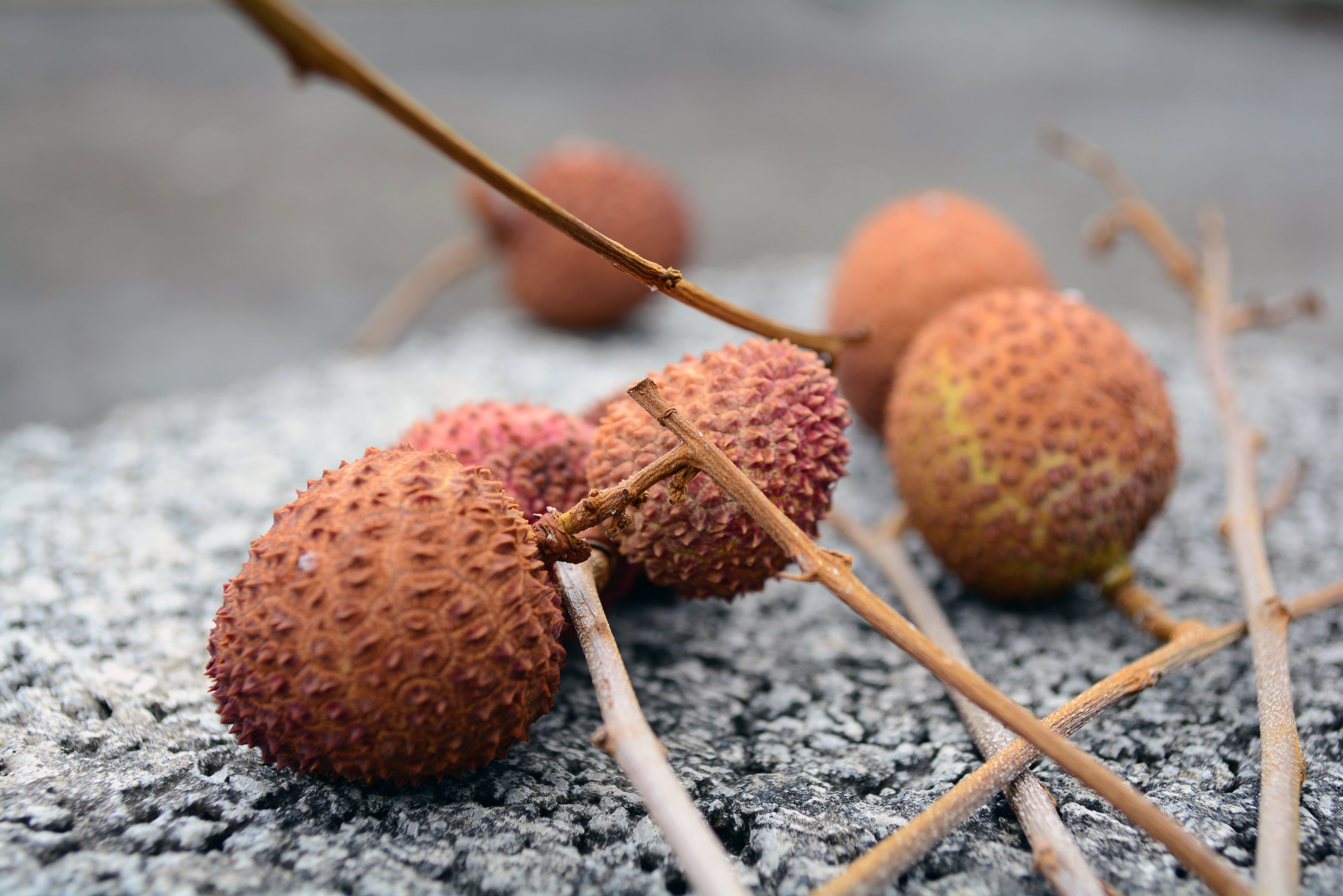 red, wood - material, thailand, nut, seed, gourmet, brown, day, focus on foreground, healthy Eating, chinese plum, wellbeing, 4K, food And Drink, nature, HD Wallpaper