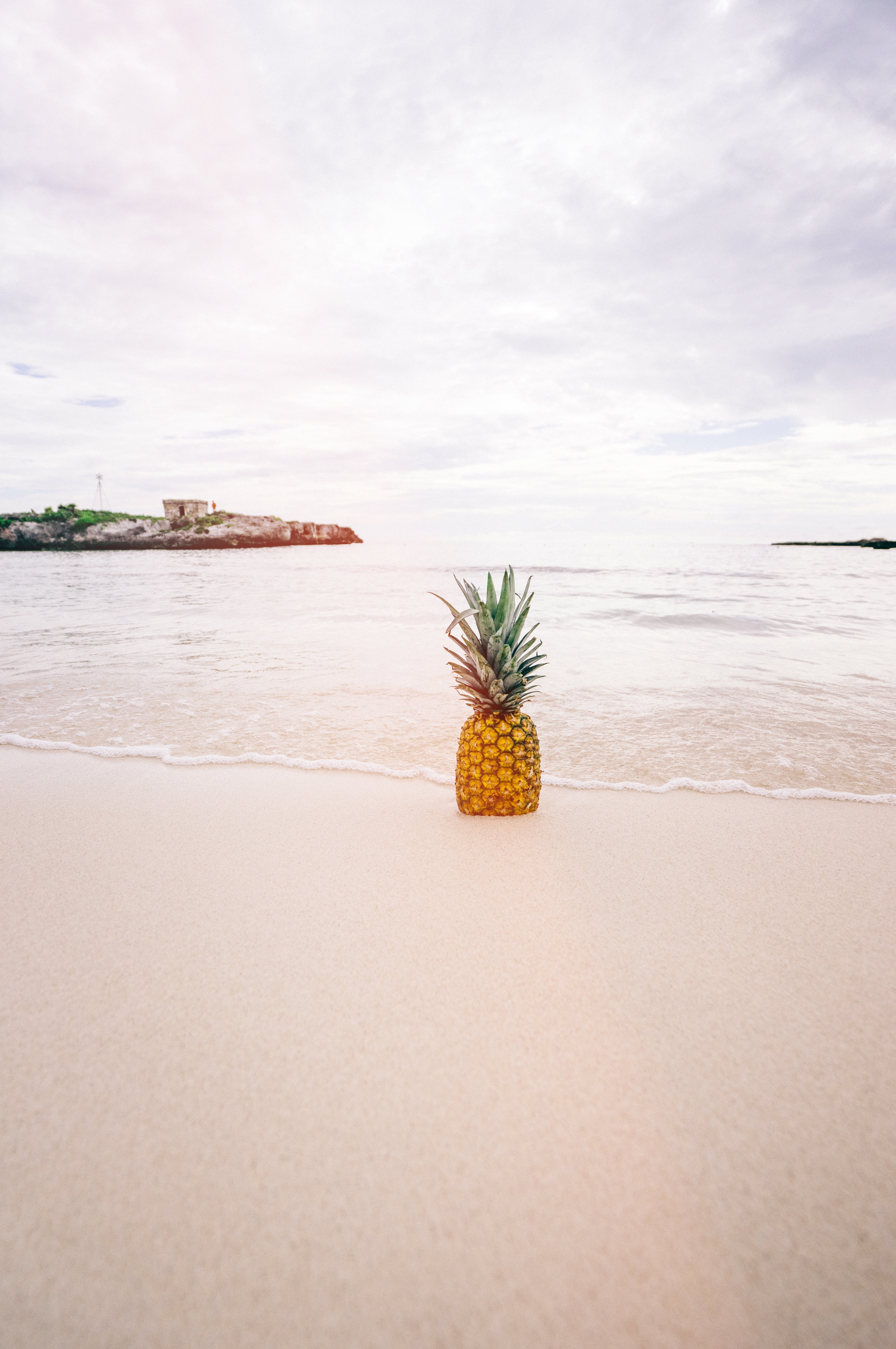 no people, sand, flower, sky, beauty in nature, fruit, horizon, freshness, ocean, ananas comosus, sea, flower head, tranquility, seashore, plant, beach, Phone HD Wallpaper