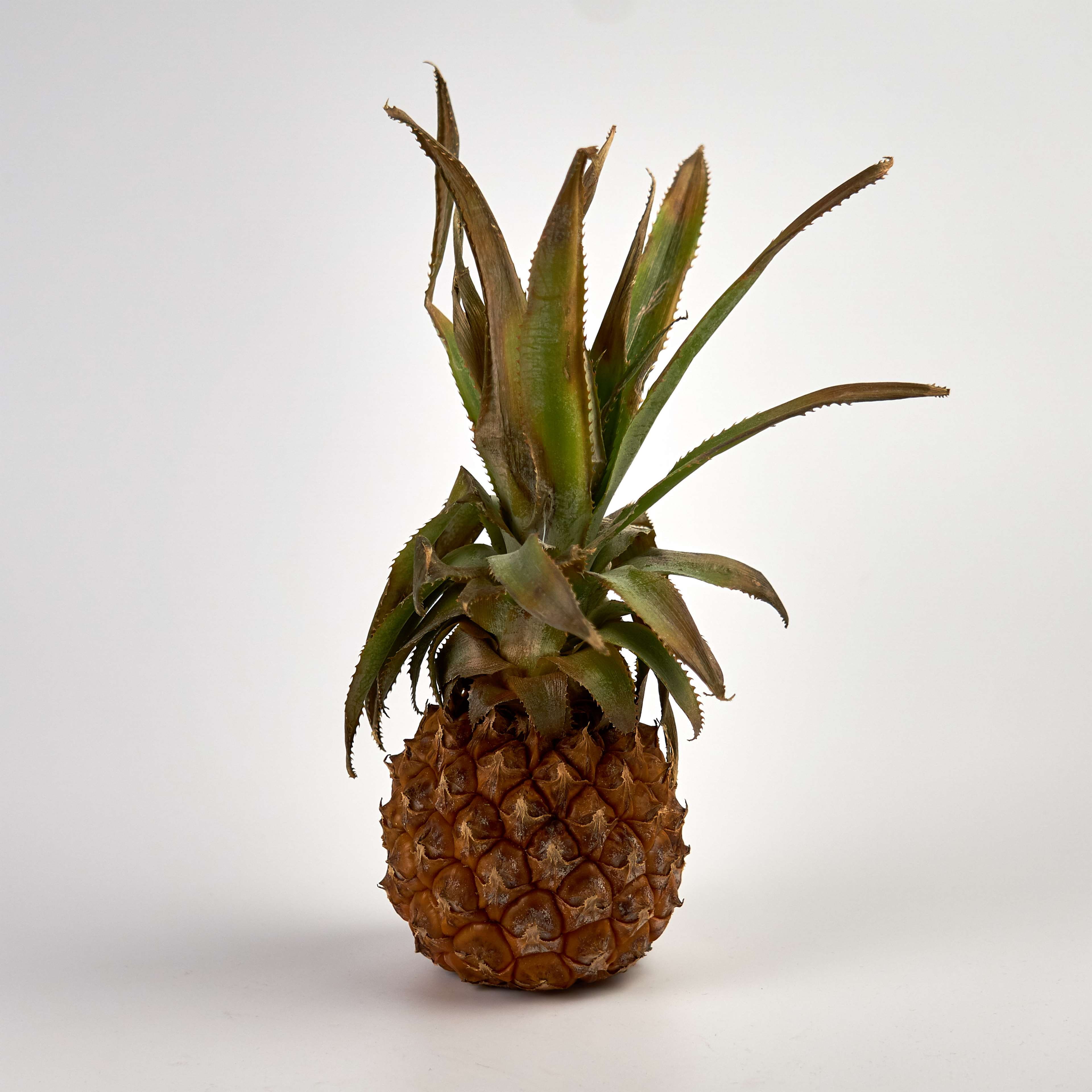 no people, freshness, green color, fruit exotique, single object, 4K, plant, nature, food, studio shot, plant part, pineapple, saveur, close-up, tropical fruit, Phone HD Wallpaper