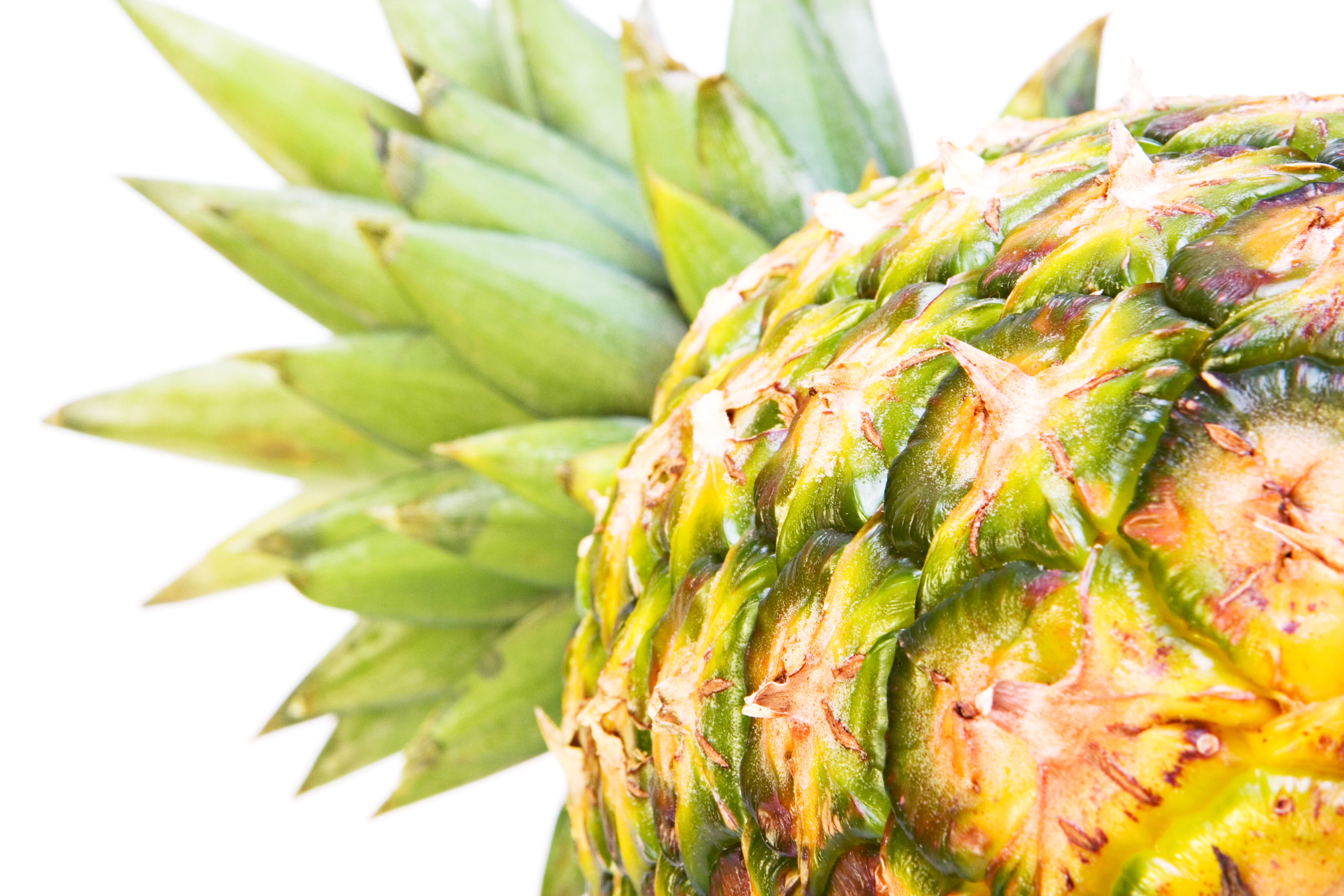 close-up, closeup, freshness, juicy, studio shot, healthy lifestyle, food, nutrient, tropical fruit, group of objects, nature, wellbeing, 4K, ananas, snack, HD Wallpaper