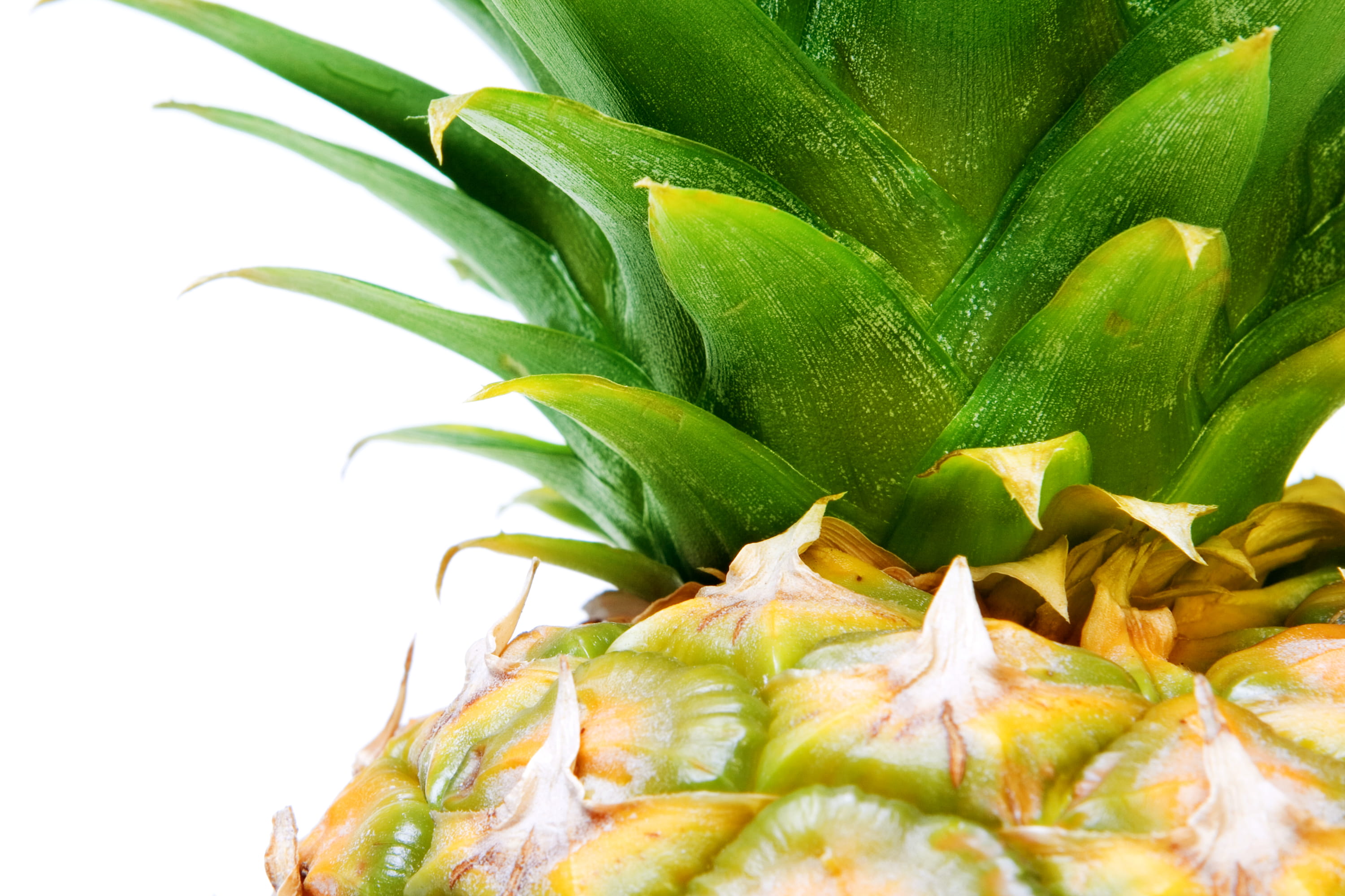 nature, refreshment, ananas, fruit, meal, vegetarian, no people, snack, eating, nutrient, close-up, diet, freshness, healthy eating, white background, plant, HD Wallpaper