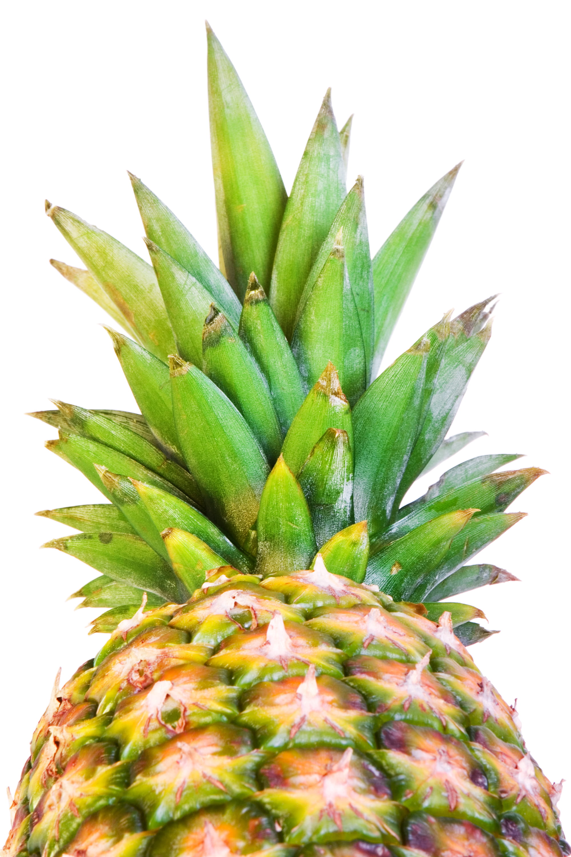 white background, freshness, pineapple, refreshment, dieting, plant, growth, nature, green color, tropical fruit, 2K, food and drink, studio shot, food, Phone HD Wallpaper