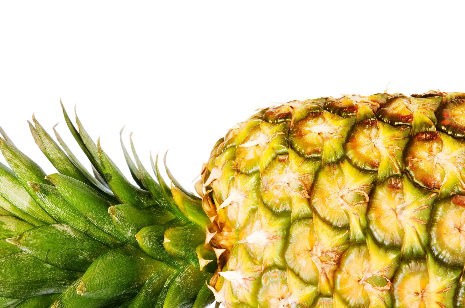 freshness, ananas, nutrient, snack, studio shot, tropical fruit, indoors, passion fruit, slice, vitamin, white background, close-up, nature, no people, HD Wallpaper