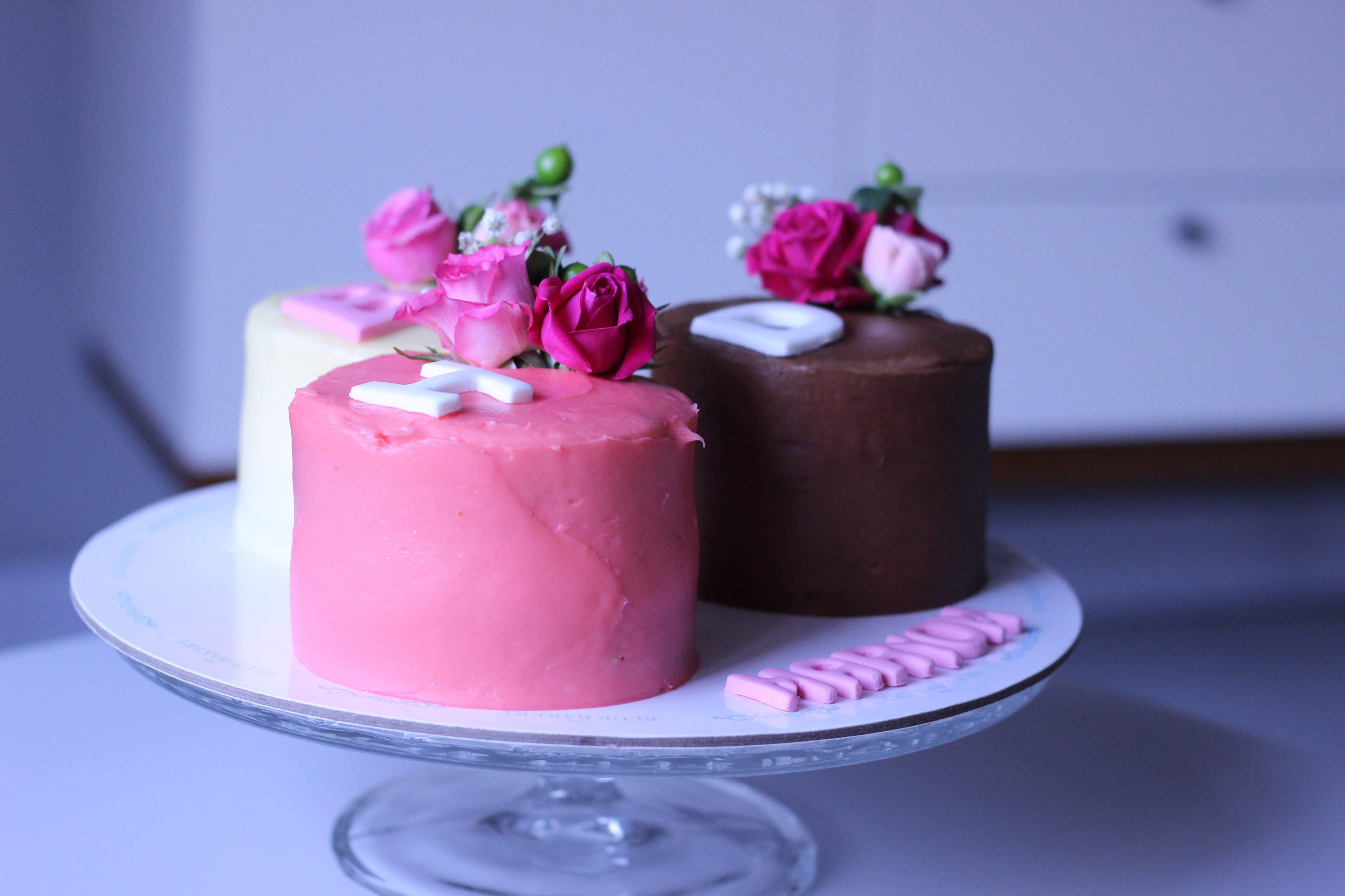 drinking glass, birthday, chocolate, decoration, plant, flower, sweet, cake, white, freshness, refreshment, indoors, pink color, close-up, ready-to-eat, HD Wallpaper