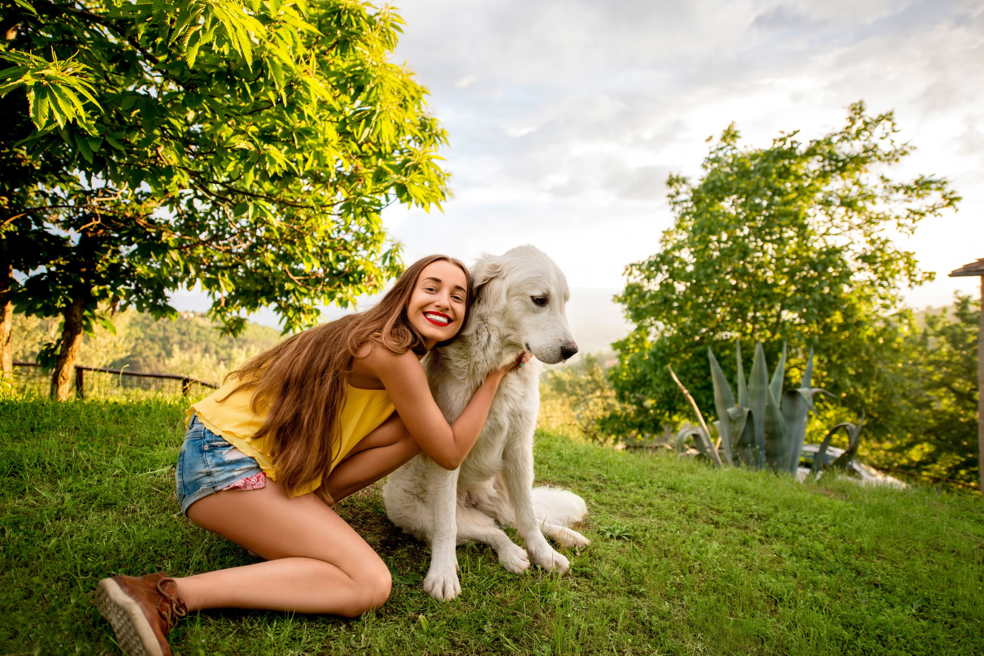 brown hair, grass, trees, hairstyle, greens, smile, nature, summer, dog, white, shorts, pose, girl, the sun, Retriever, makeup, 2K, Mike, HD Wallpaper
